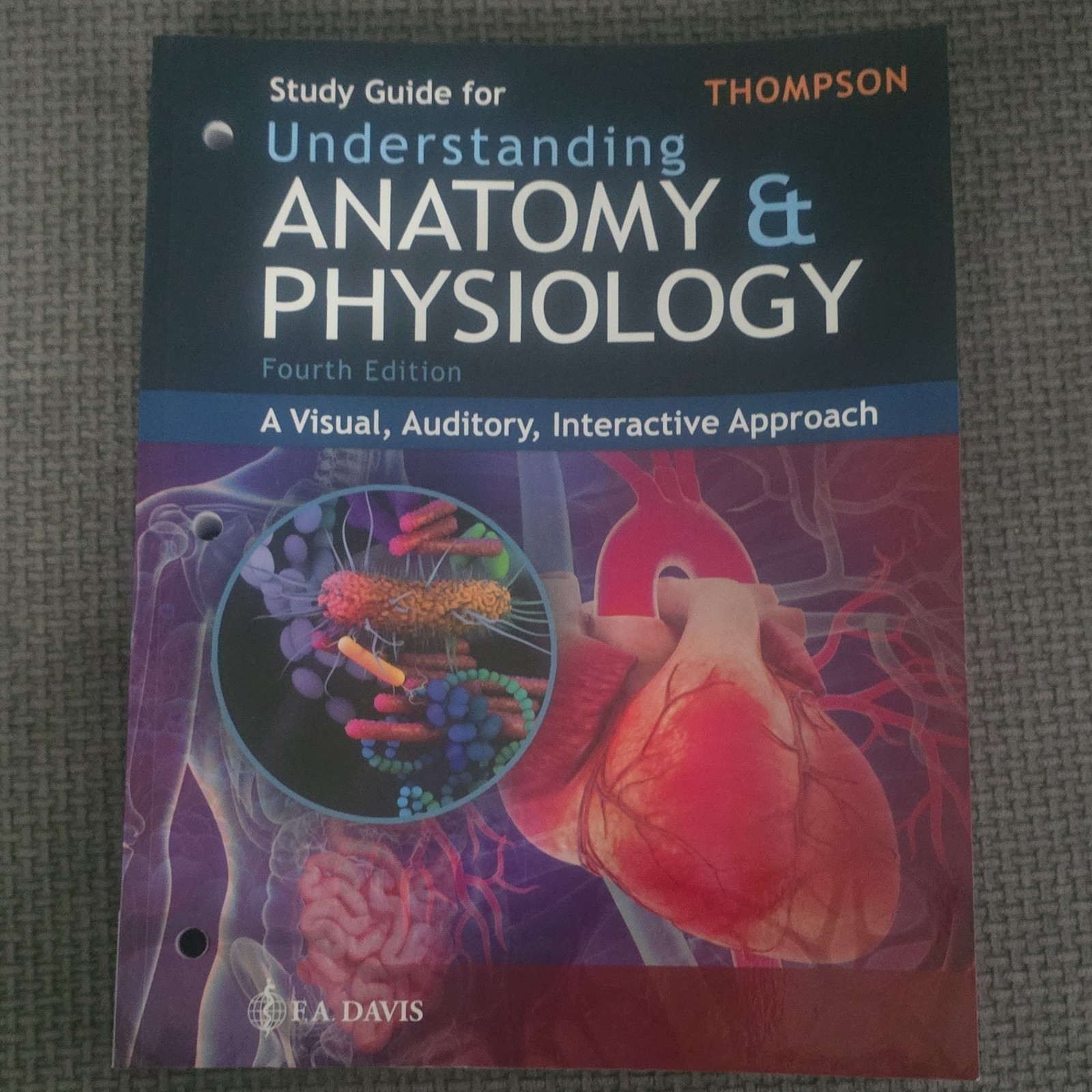Study Guide for Understanding Anatomy & Physiology 4th Ed Thompson 2014