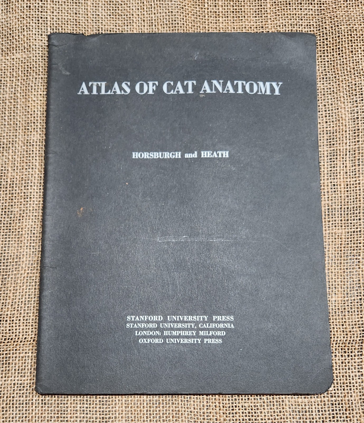 1942 ATLAS OF CAT ANATOMY Medical Spiral Text Stanford