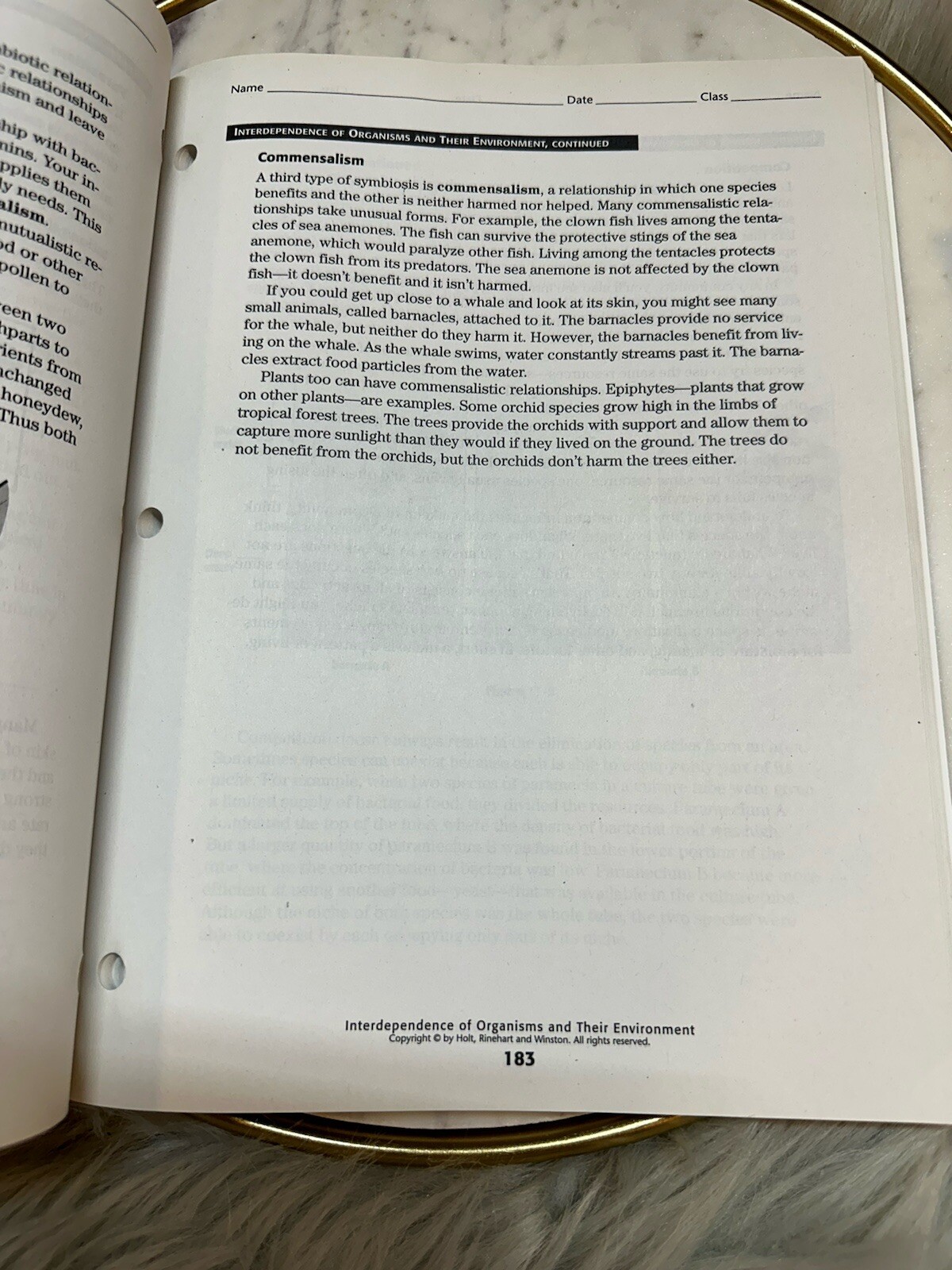 Science Taks Practice Workbook HOLT, RINEHART & WINSTON Not Written In-preowned