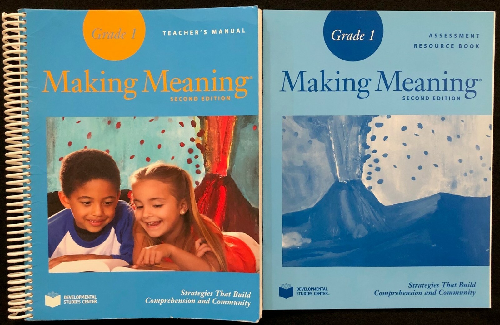 1st – Making Meaning Teacher’s Manual and Assessment Resource Book (2008)