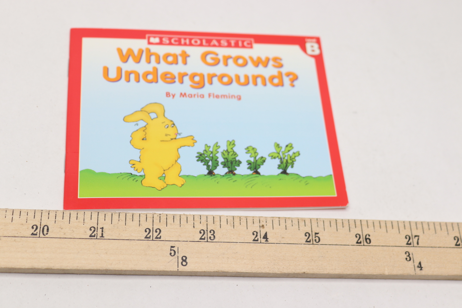 Level B Little Leveled Readers: What Grows Underground By Maria Fleming