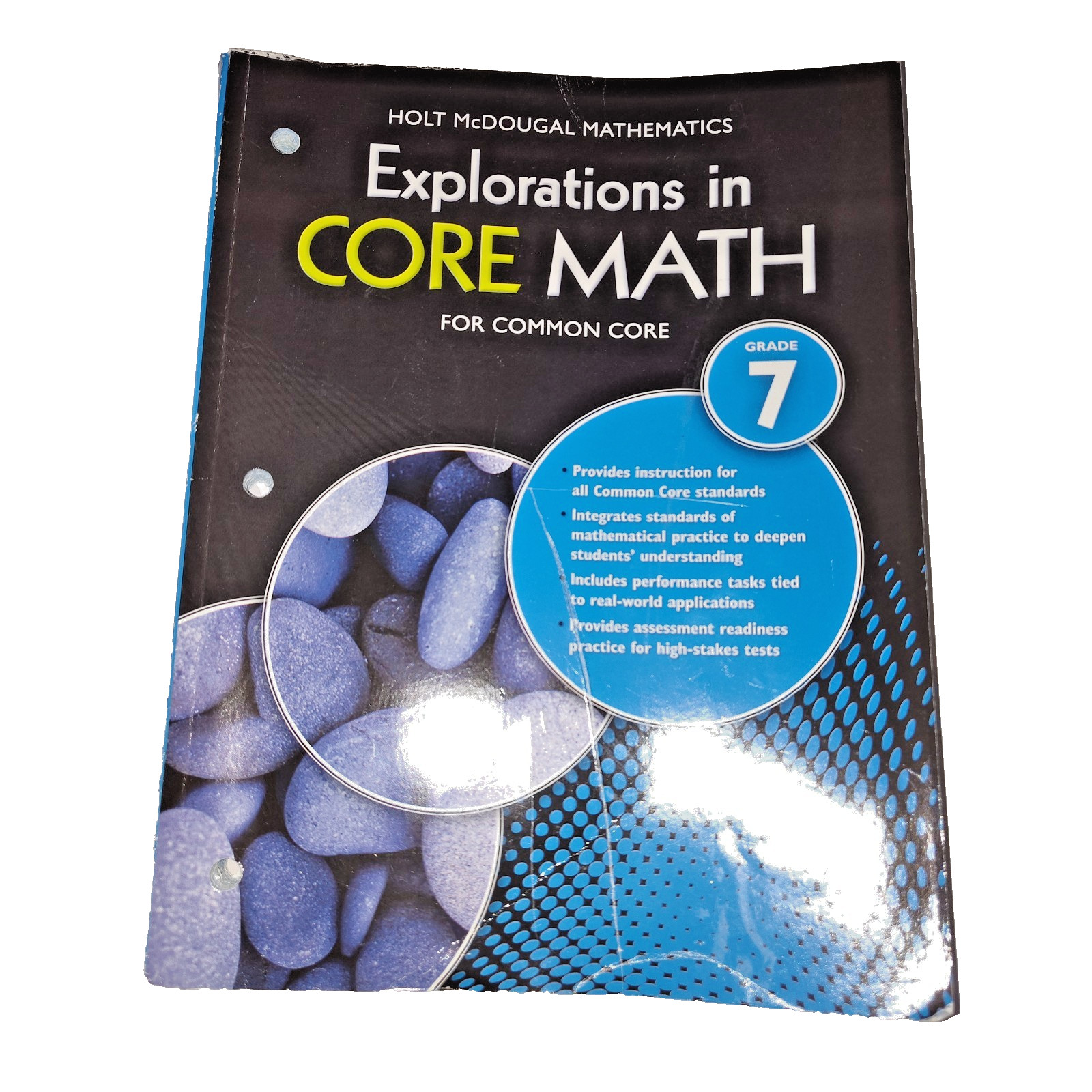 Holt McDougal Grade 7 Core Math Common Core Workbook – 508pgs