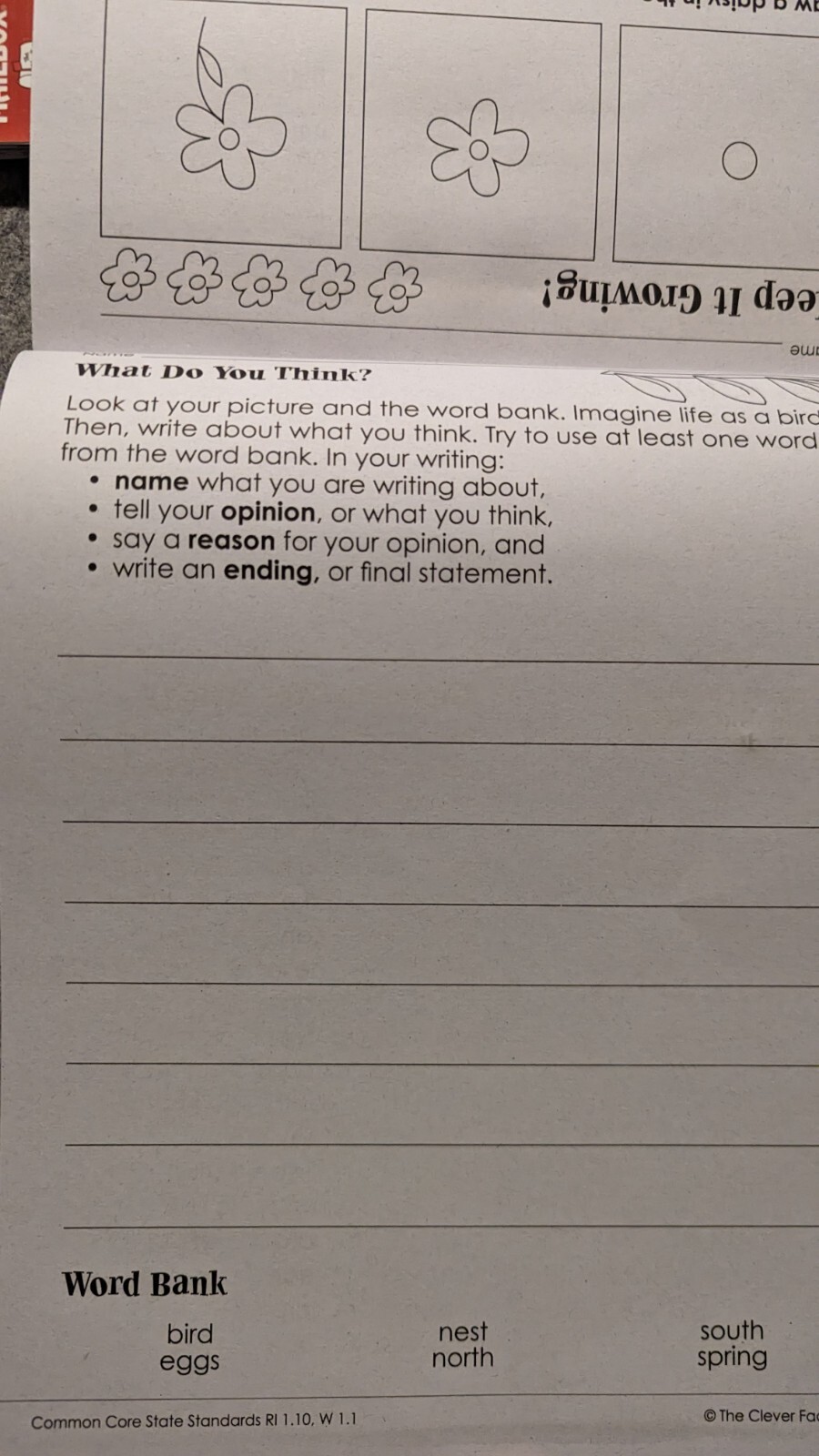 Mailbox/Teaching Tree/EvanMoor Comprehension/Write/Draw Grades 1, 2, 3; Lot Of 4