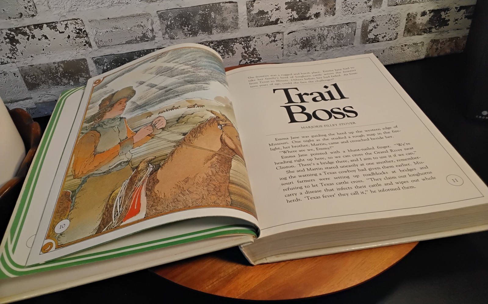 Ginn Reading Program Hardback Level 13 «Flights Of Color»