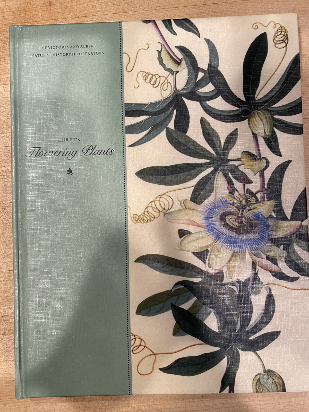 Flowering Plants By Ethret The Victoria And Albert Natural History Illustrators