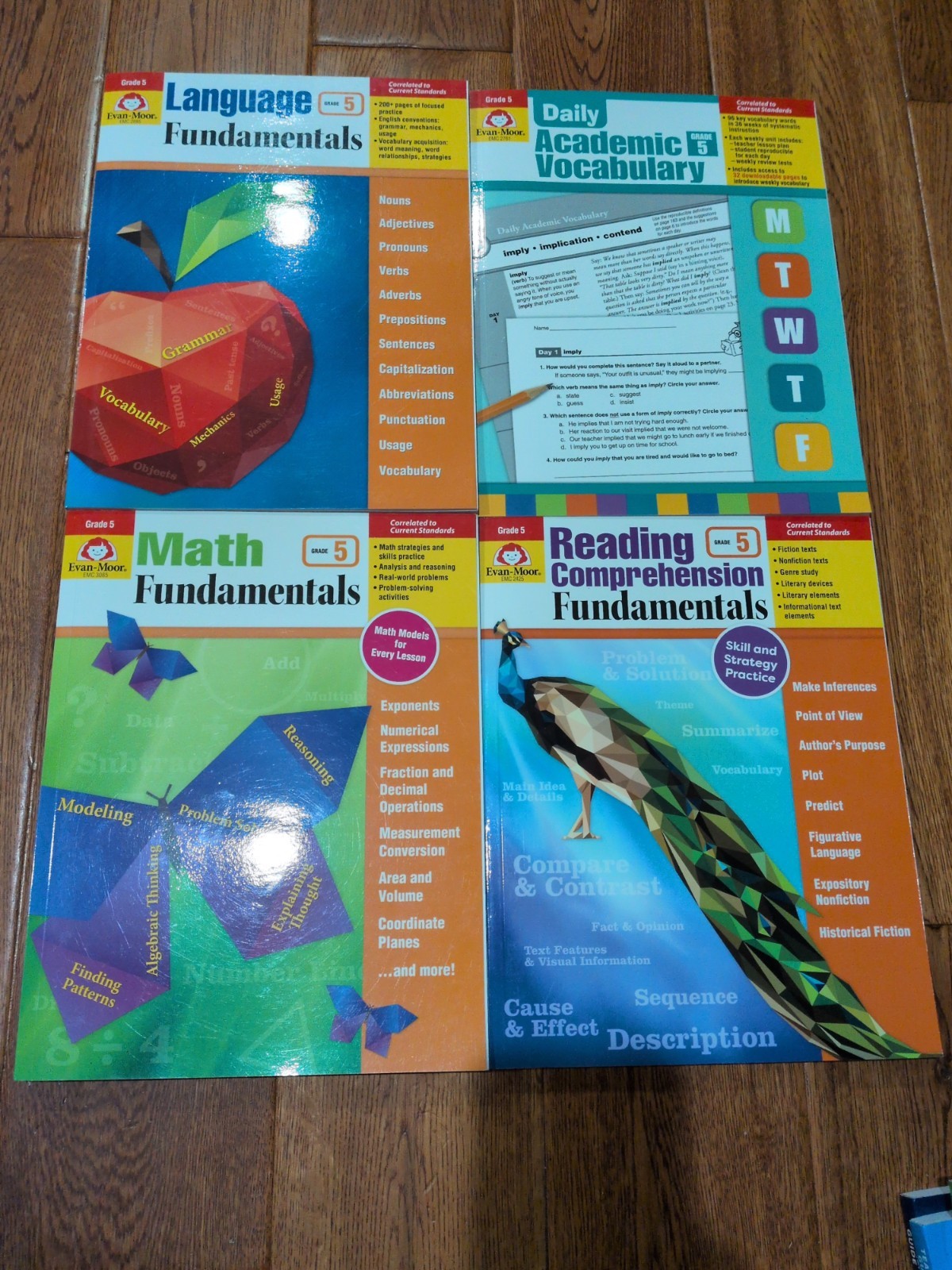 Evan Moor grade 5 Fundamentals Lot: Language, Vocab, Math, Reading Comprehension