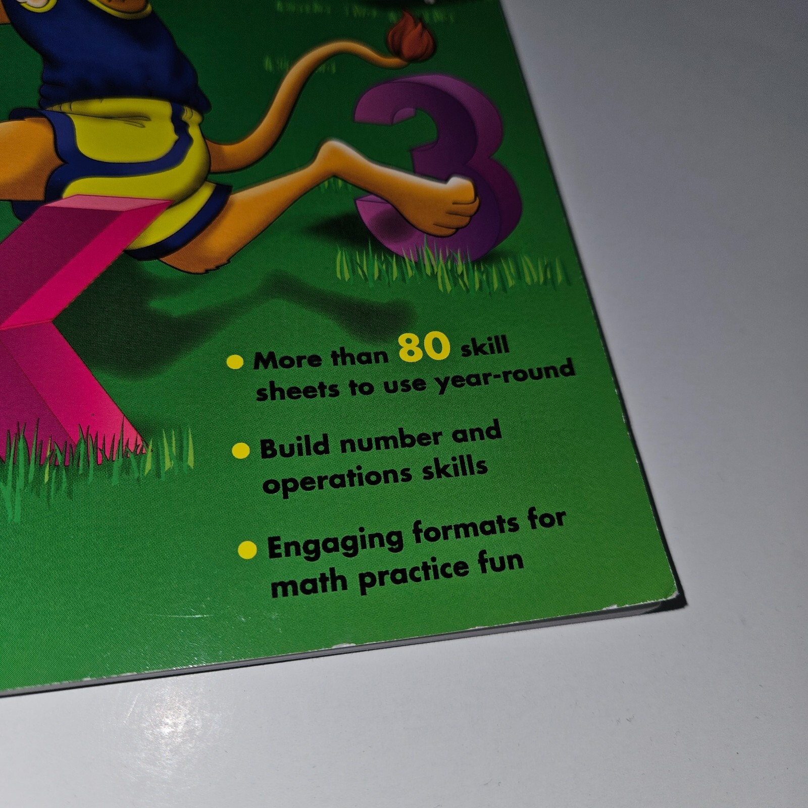 Math Practice Pages Grade 3 ~ More Than 80 Reproducible Skills Sheets