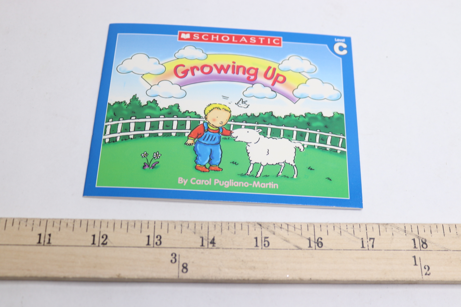 Scholastic Little Leveled Readers: Growing Up Level C