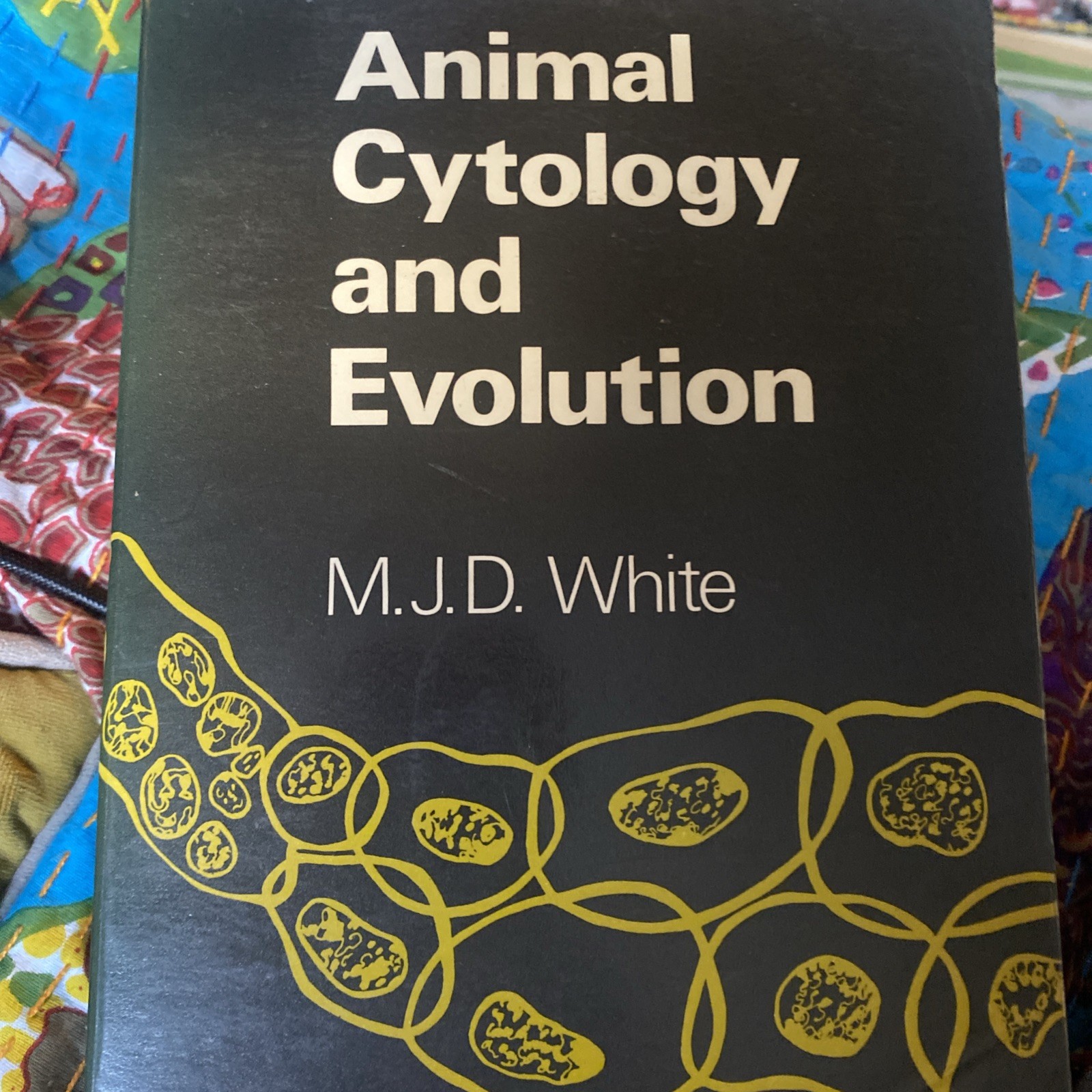 Animal Cytology And Evolution MJD white