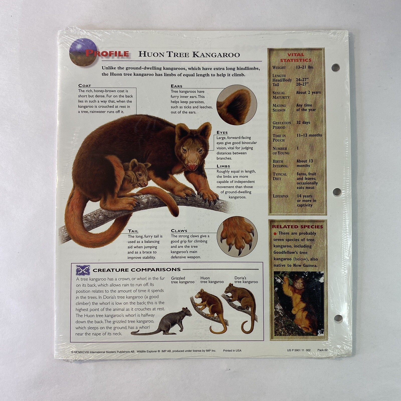 Wildlife Explorer Study Guides – Sealed Pack #02 – 12 Pages – New