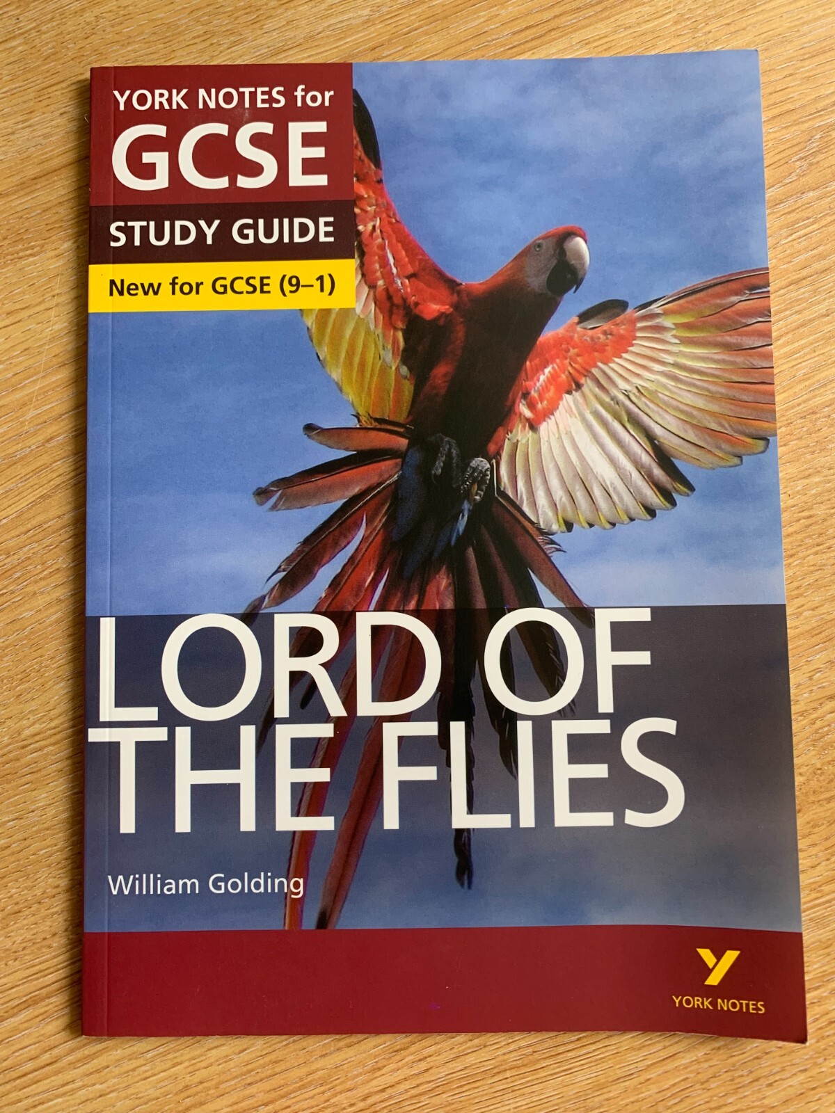 Lord of the Flies York Notes for GCSE Study Guide ISBN 978-1-4479-8219-7