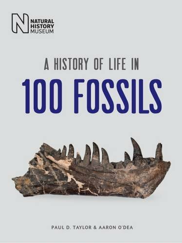 A History of Life in 100 Fossils by Aaron O’Dea Book The Fast Free Shipping