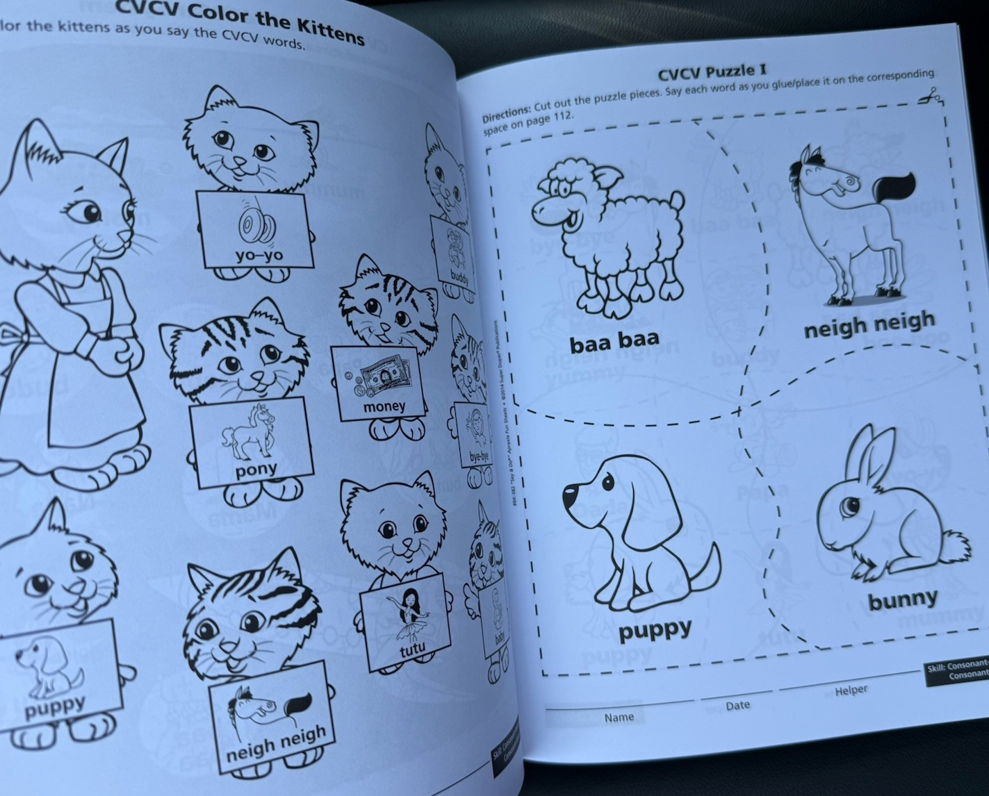 “Say & Do” Apraxia Fun Sheets Paperback Professional Resource Speech Therapy