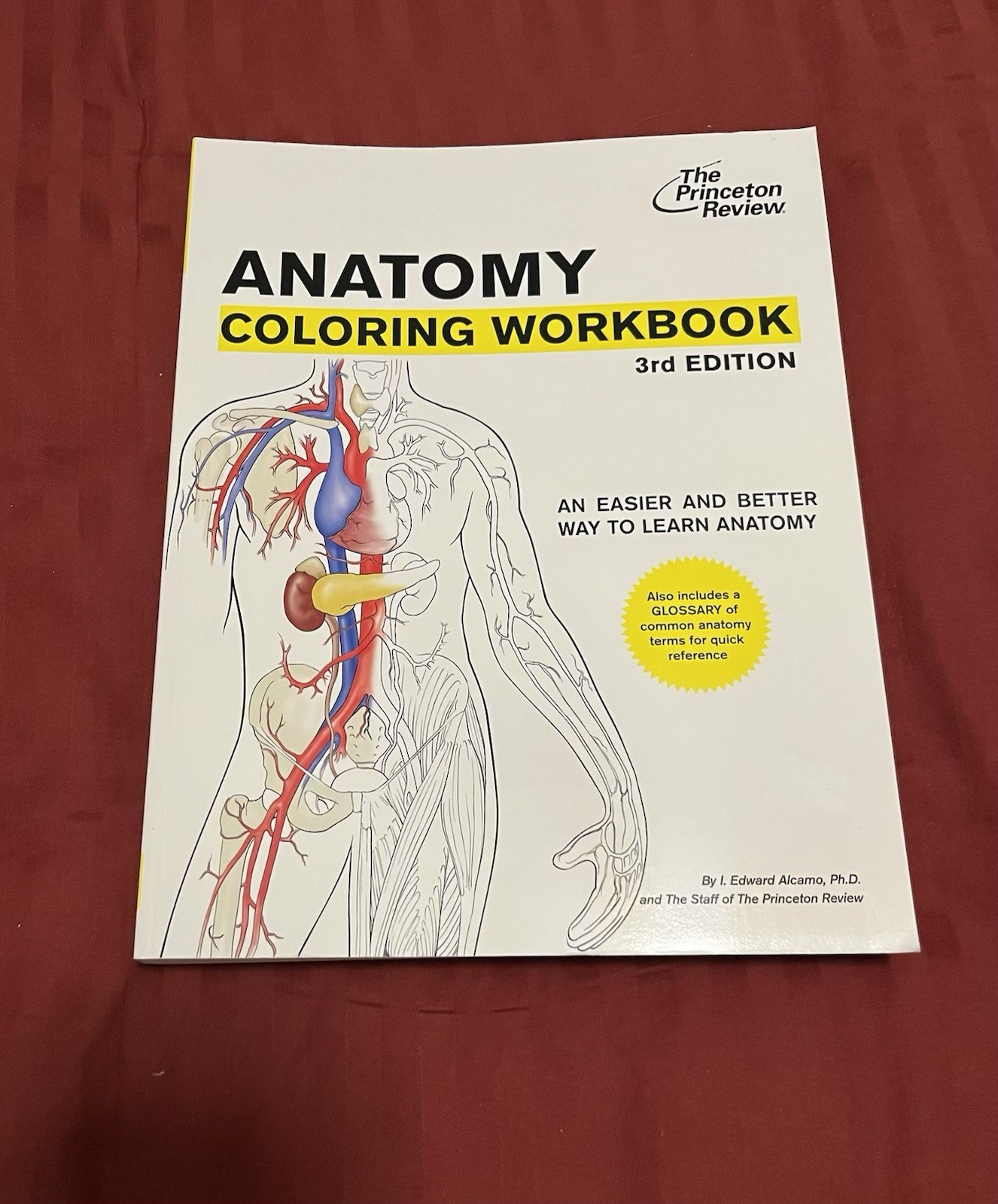 Anatomy Coloring Book