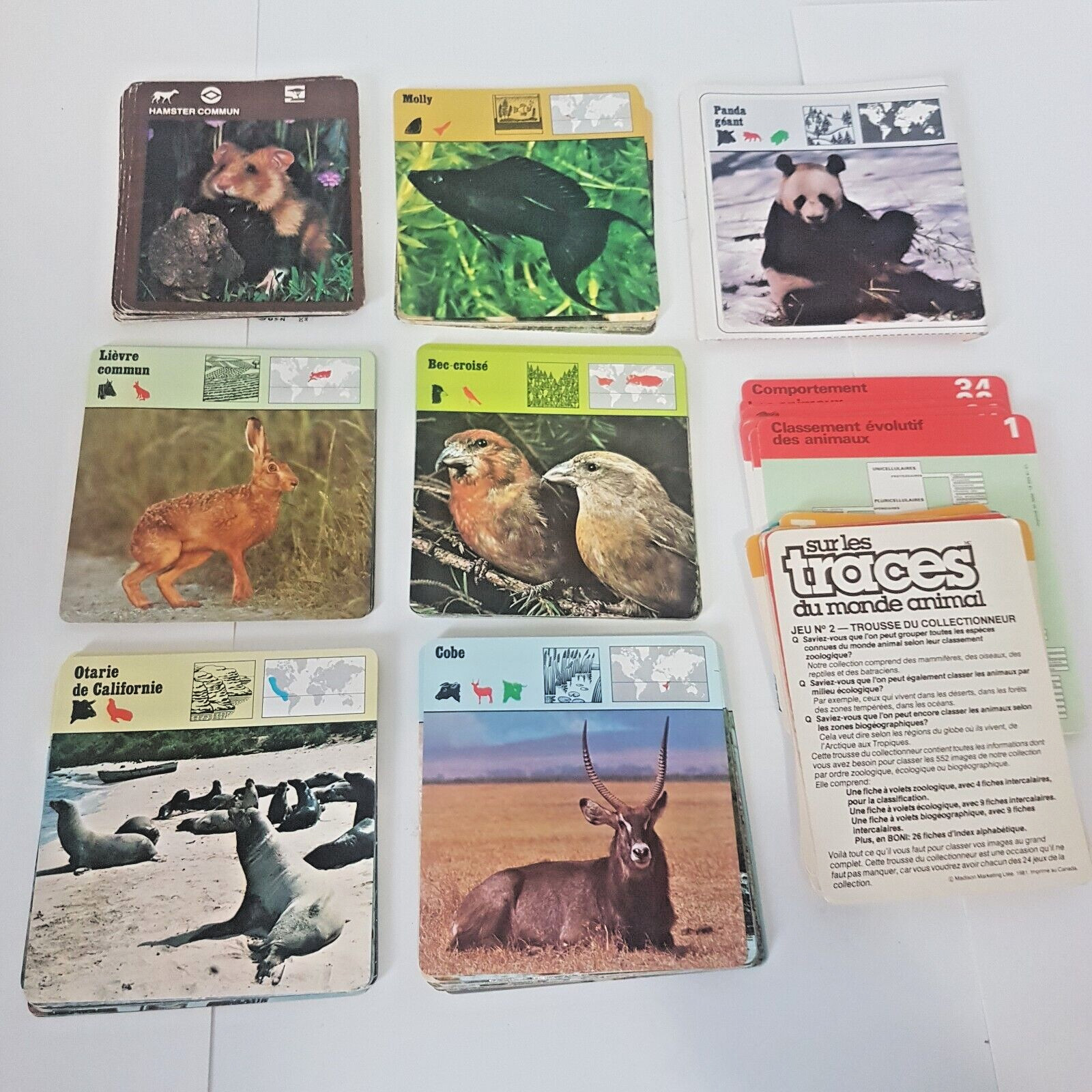 Editions Rencontre Animal Cards 100 + FRENCH Homeschooling 1970’s 1980’s Mix Lot