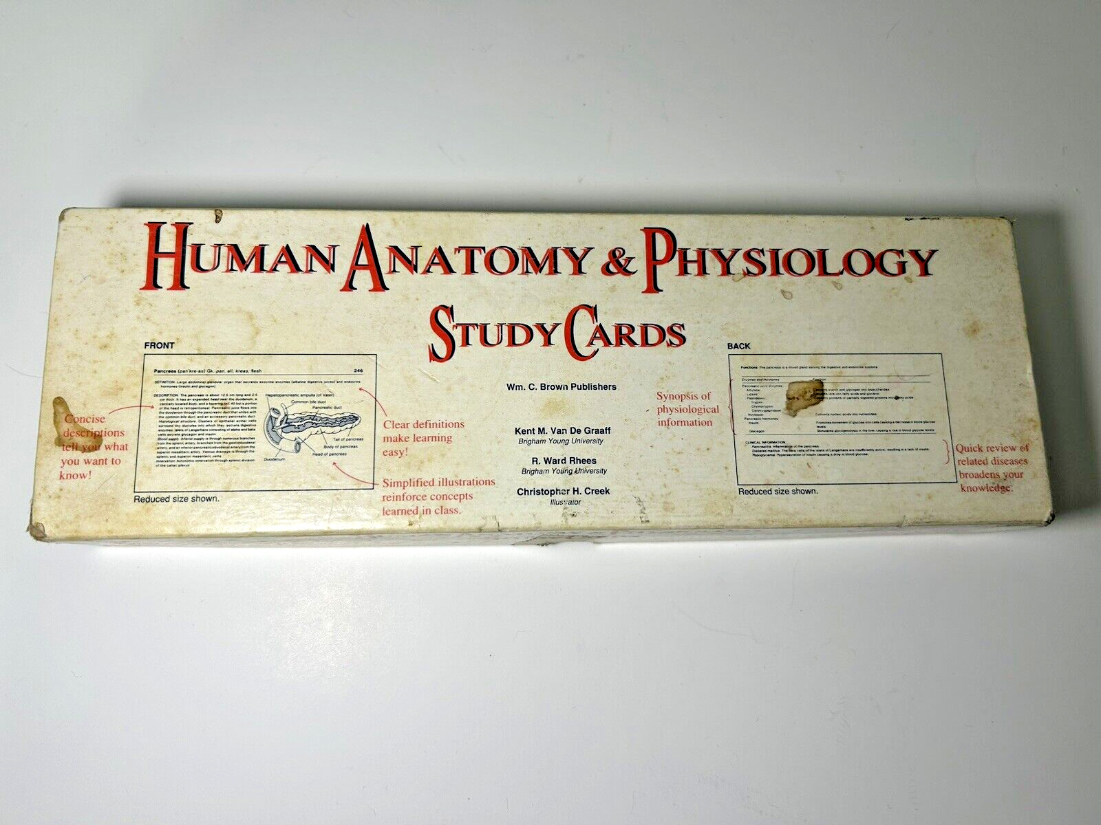 Human ANATOMY & PHYSIOLOGY Study Cards- 300 CARDS VGC-PREOWNED