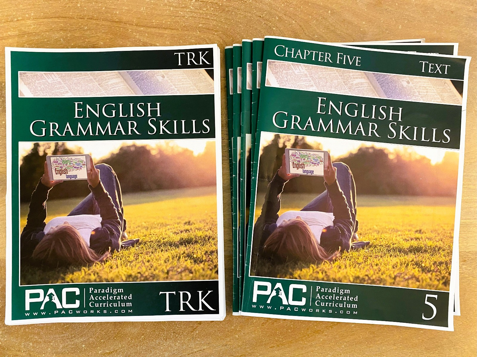 Paradigm Accelerated Curriculum PAC English Grammar Skills TRK & Text