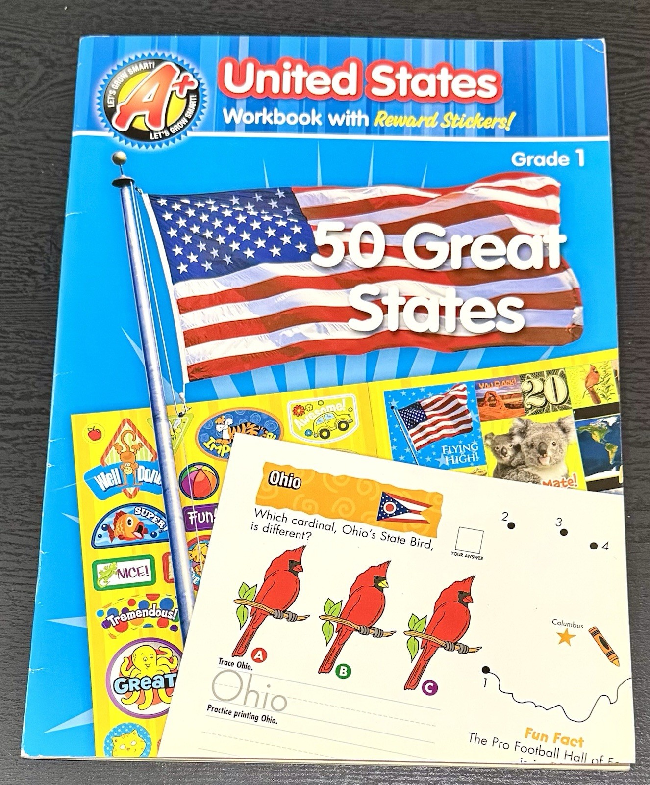 1st Grade Workbooks BUNDLE! ALL Subjects: Math, Social Studies, Language Arts