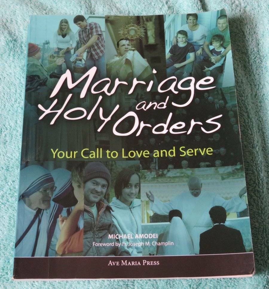 MARRIAGE & HOLY ORDERS Amodei BOOK Catholic Love Serve Ave Maria Press Text
