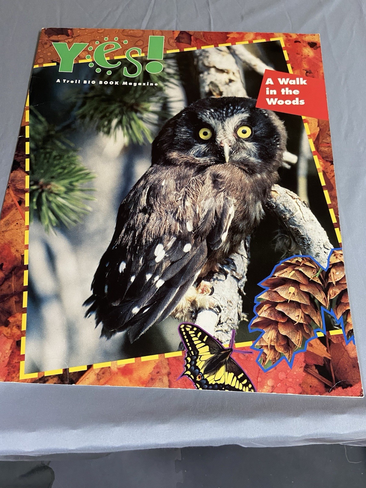 A Walk In The Woods 1994 Oversized Troll Big Book / Easel Book YES