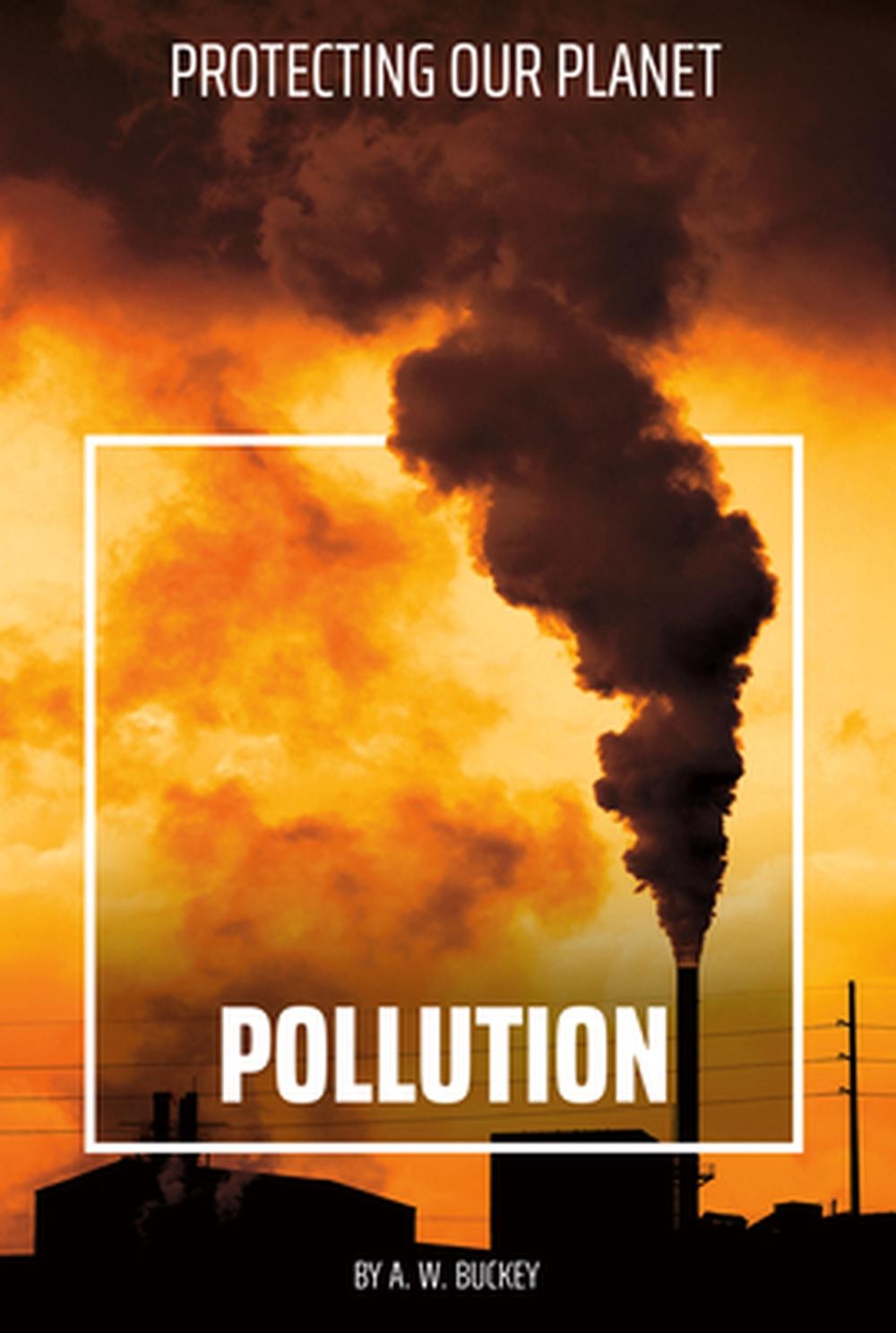 Pollution by A.W. Buckey Hardcover Book