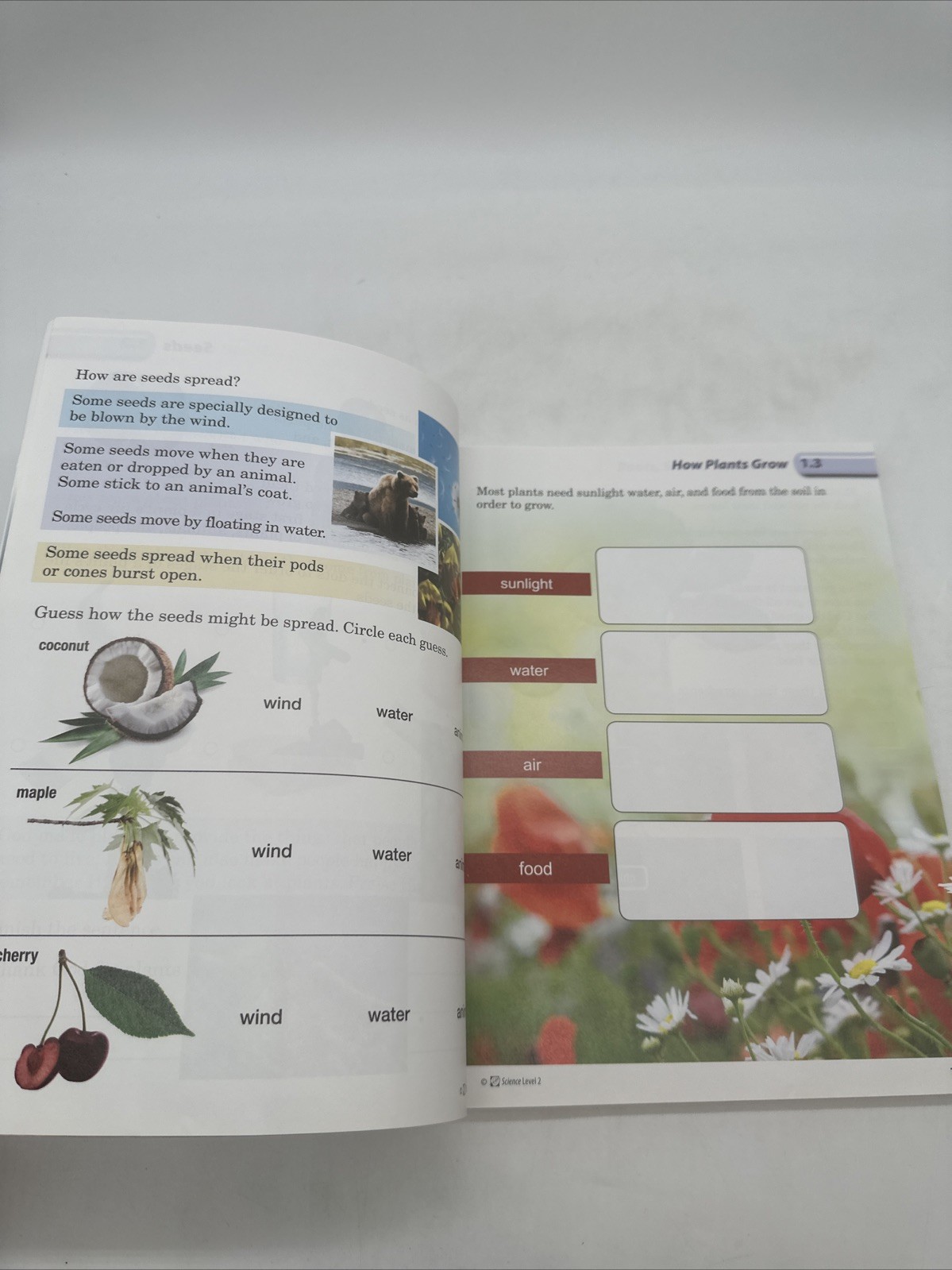 Purposeful Design Science Level 2 Student WorkText (2nd Edition) 2nd Grade NEW