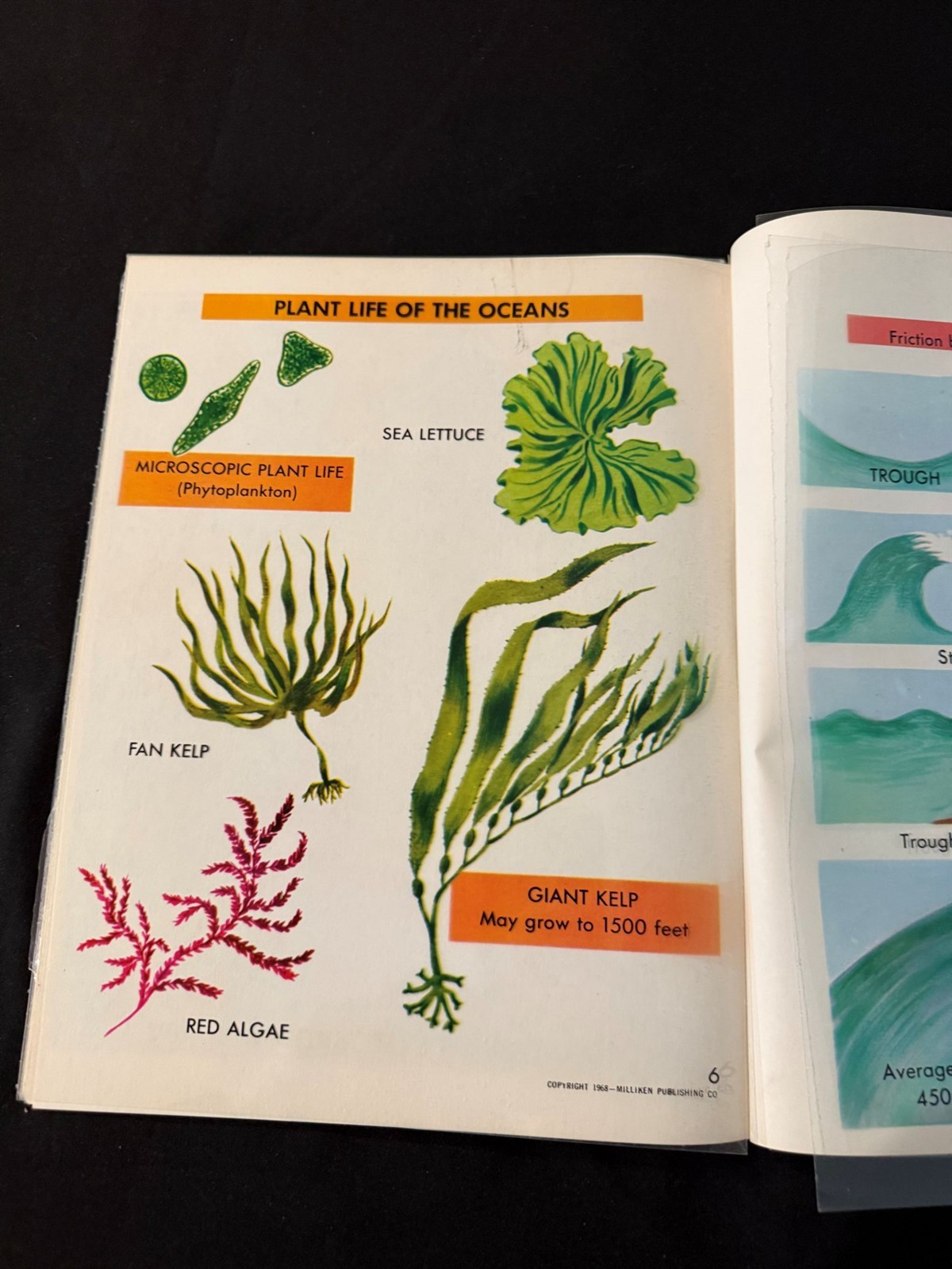 Oceanography Full Color Transparency Vntg1968 Please See Pictures & Description