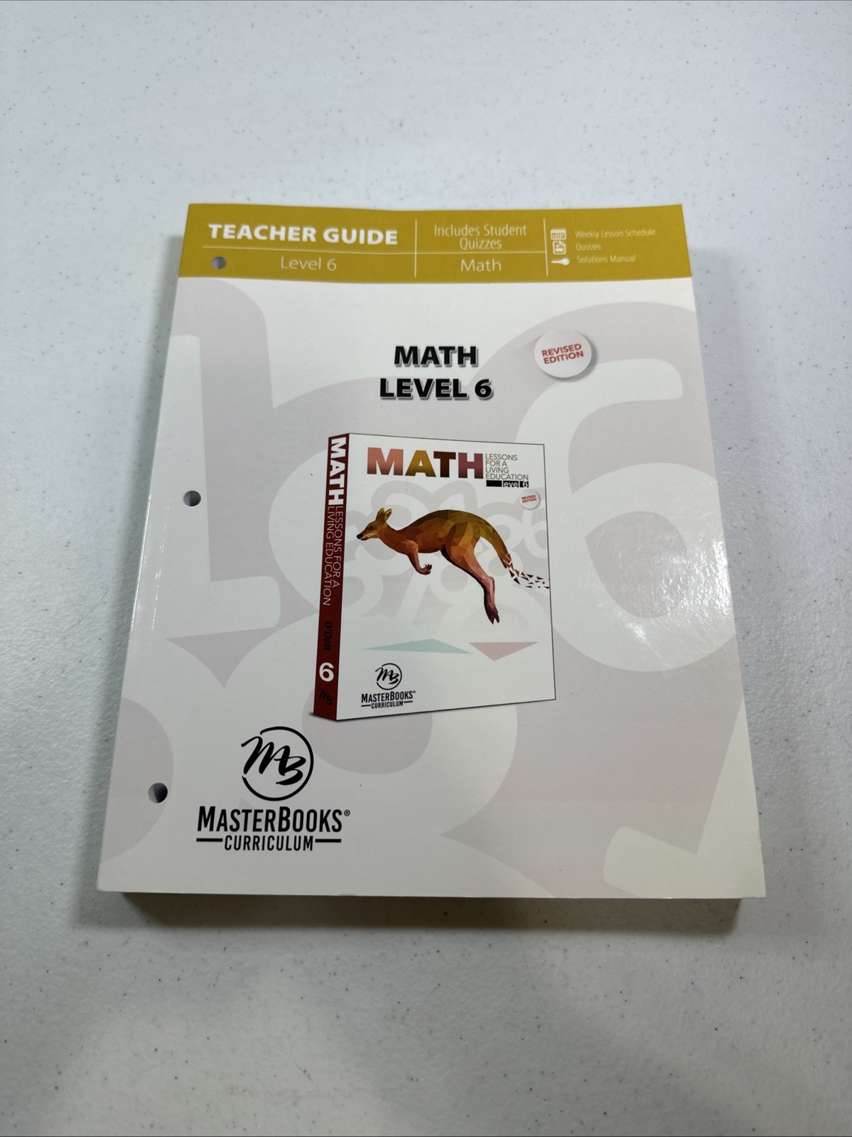 Math Level 6 (Teacher Guide) (Math Lessons for a Living Education) – LIKE NEW