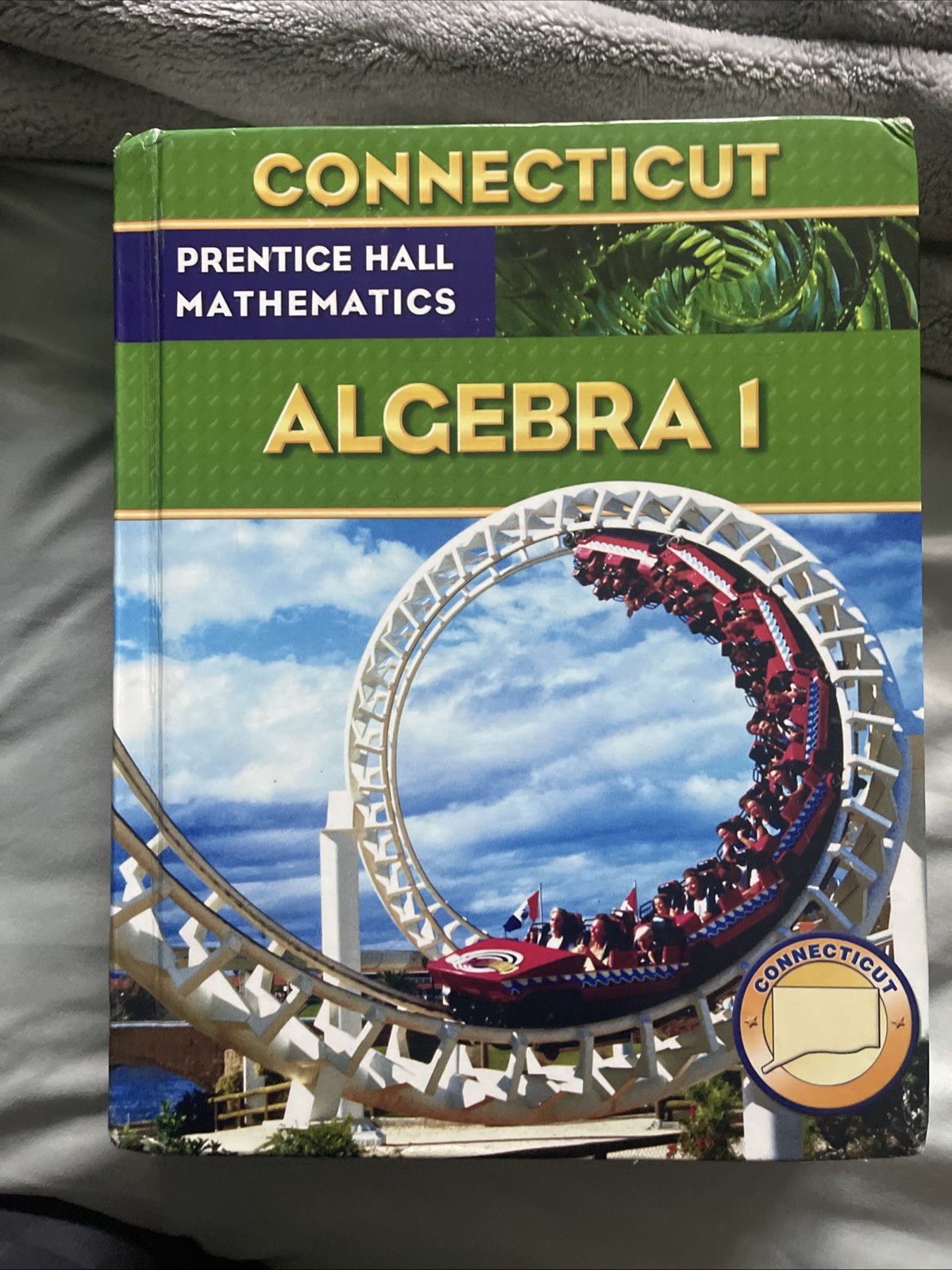 Florida Prentice Hall Mathematics Algebra 1 Student Textbook Hardcover 2004