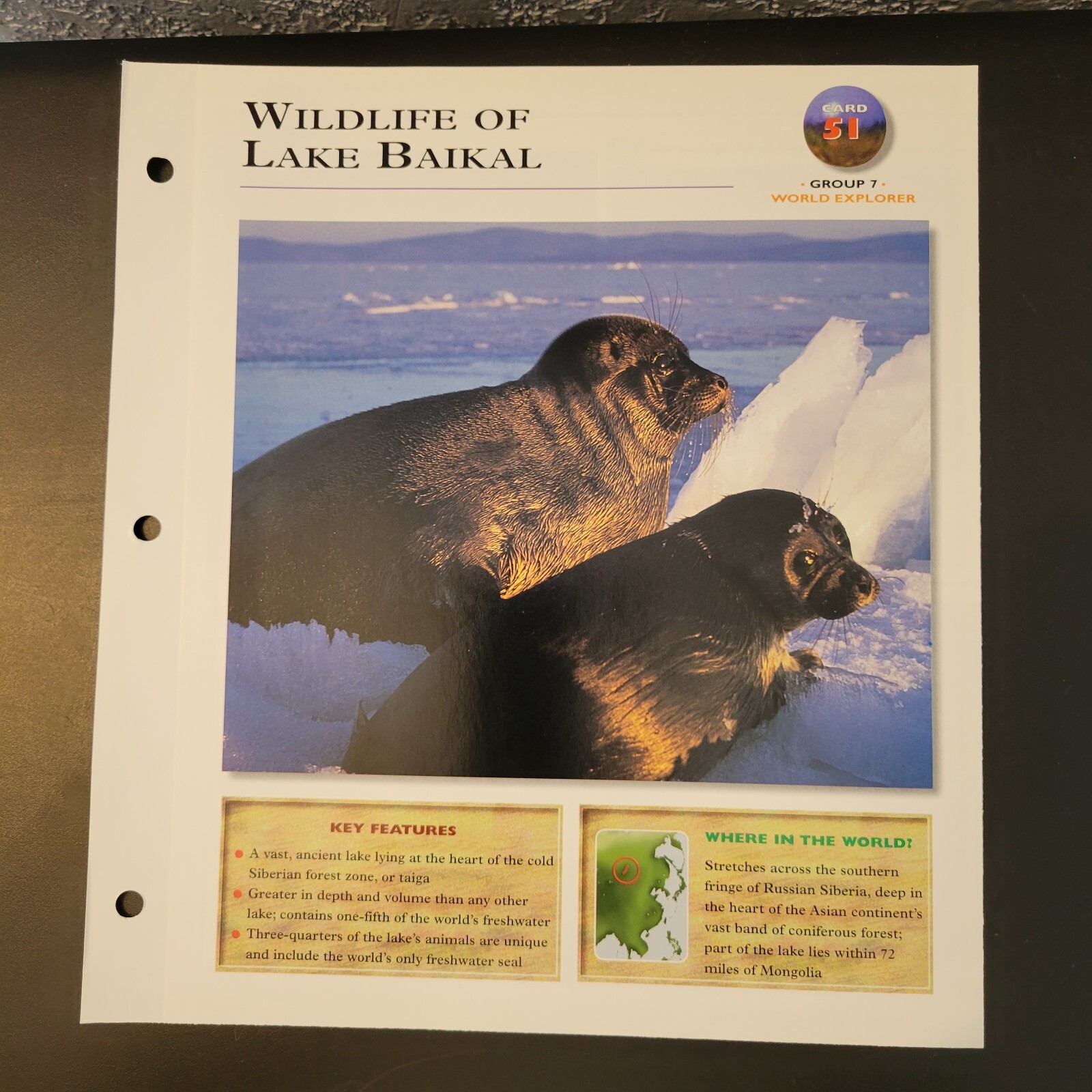 Wildlife Explorer Card 51 Group 7 World Explorer Wildlife Of Lake Baikal