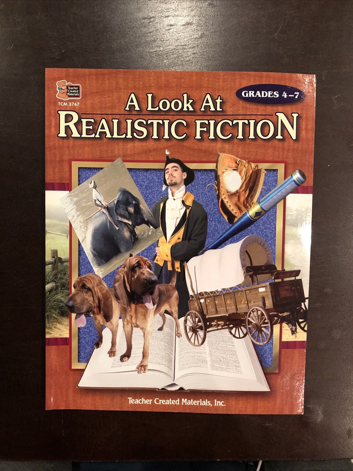 A Look at Realistic Fiction by Helen Hoffner (2003, Trade Paperback,…