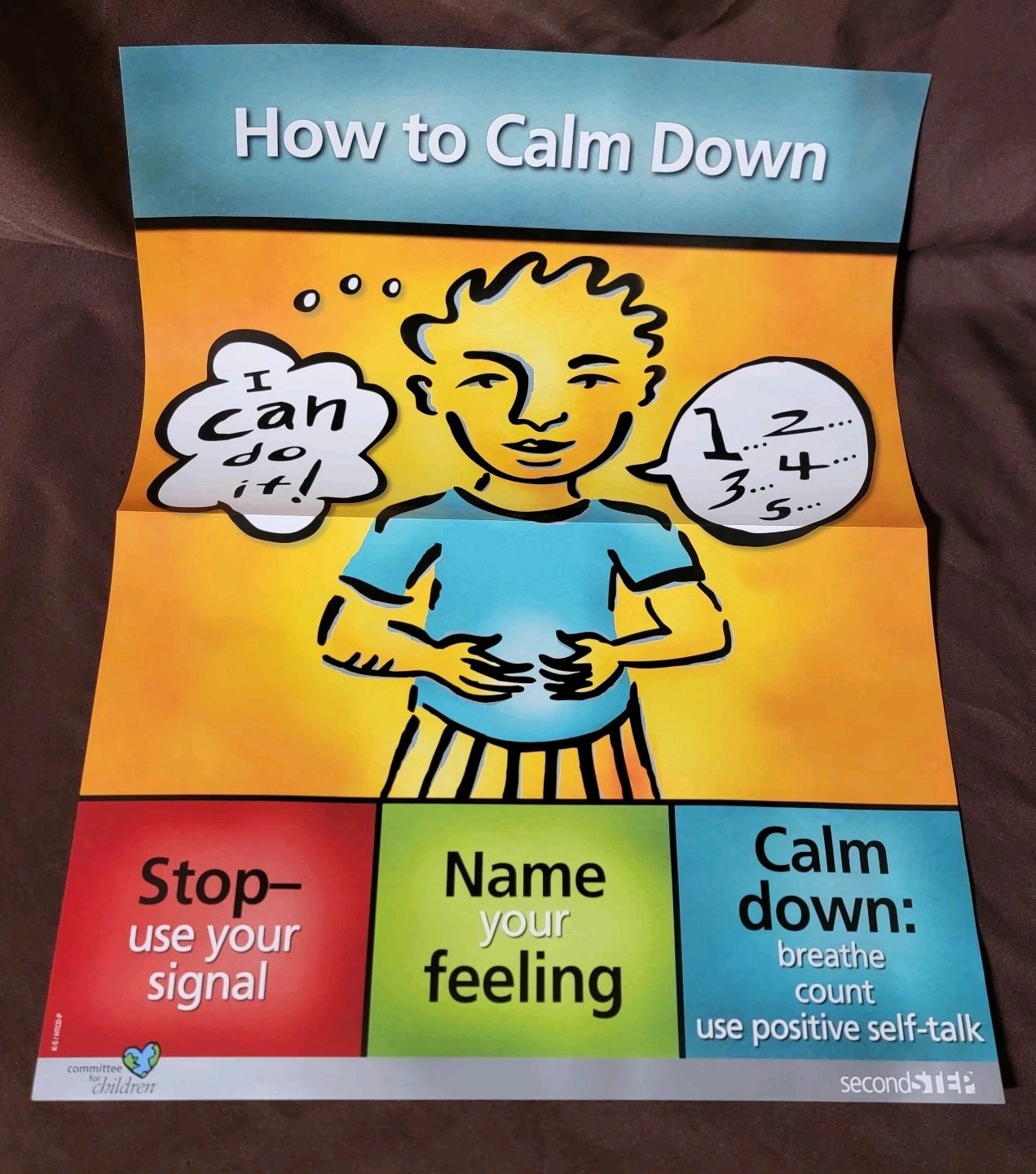 Second Step Curriculum 2nd & 3rd Gr. Empathy,Calm,Problem,Skill Poster Card Kits