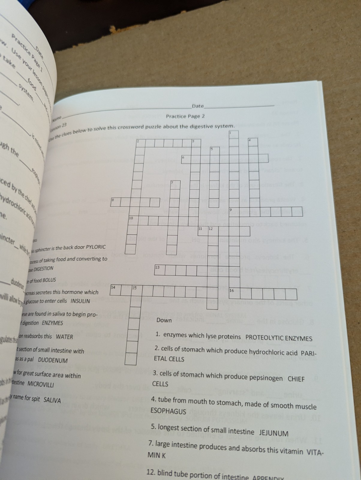 Friendly Biology Lesson Tests and Answer Keys by Hajda (paperback) – Like New