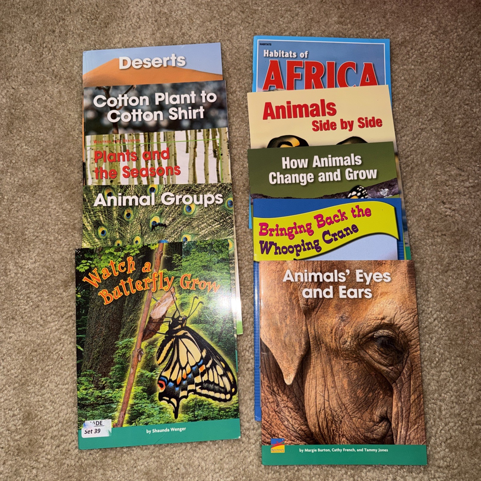 Lot of 10 Benchmark Education Books Animals & Plants Homeschool Read Learn Teach