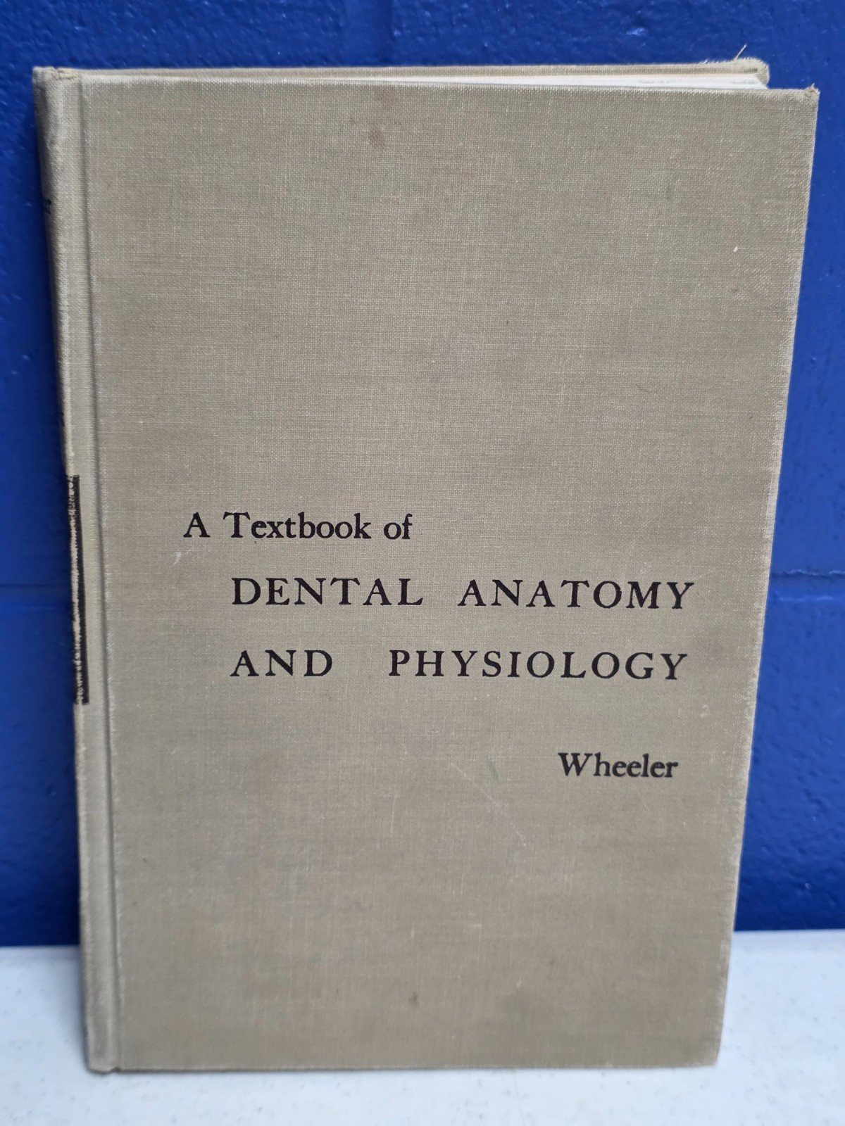 TEXTBOOK OF DENTAL ANATOMY AND PHYSIOLOGY By Russell C. Wheeler 1958