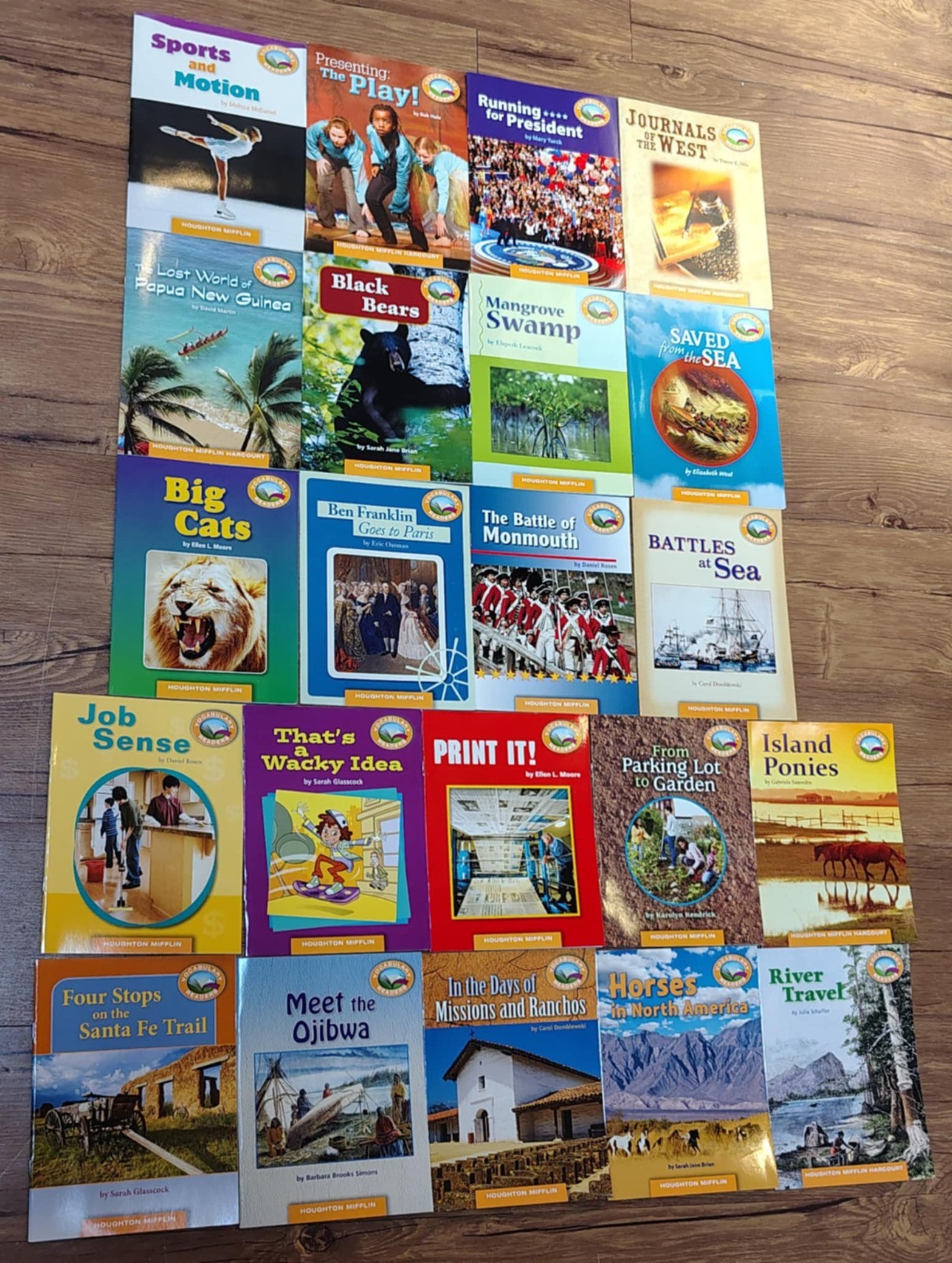 Houghton Mifflin Level 5 Readers Vocabulary Homeschool Lot of 22 + Techers