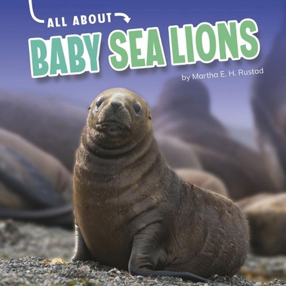 Baby Sea Lions by Martha E.H. Rustad (English) Hardcover Book