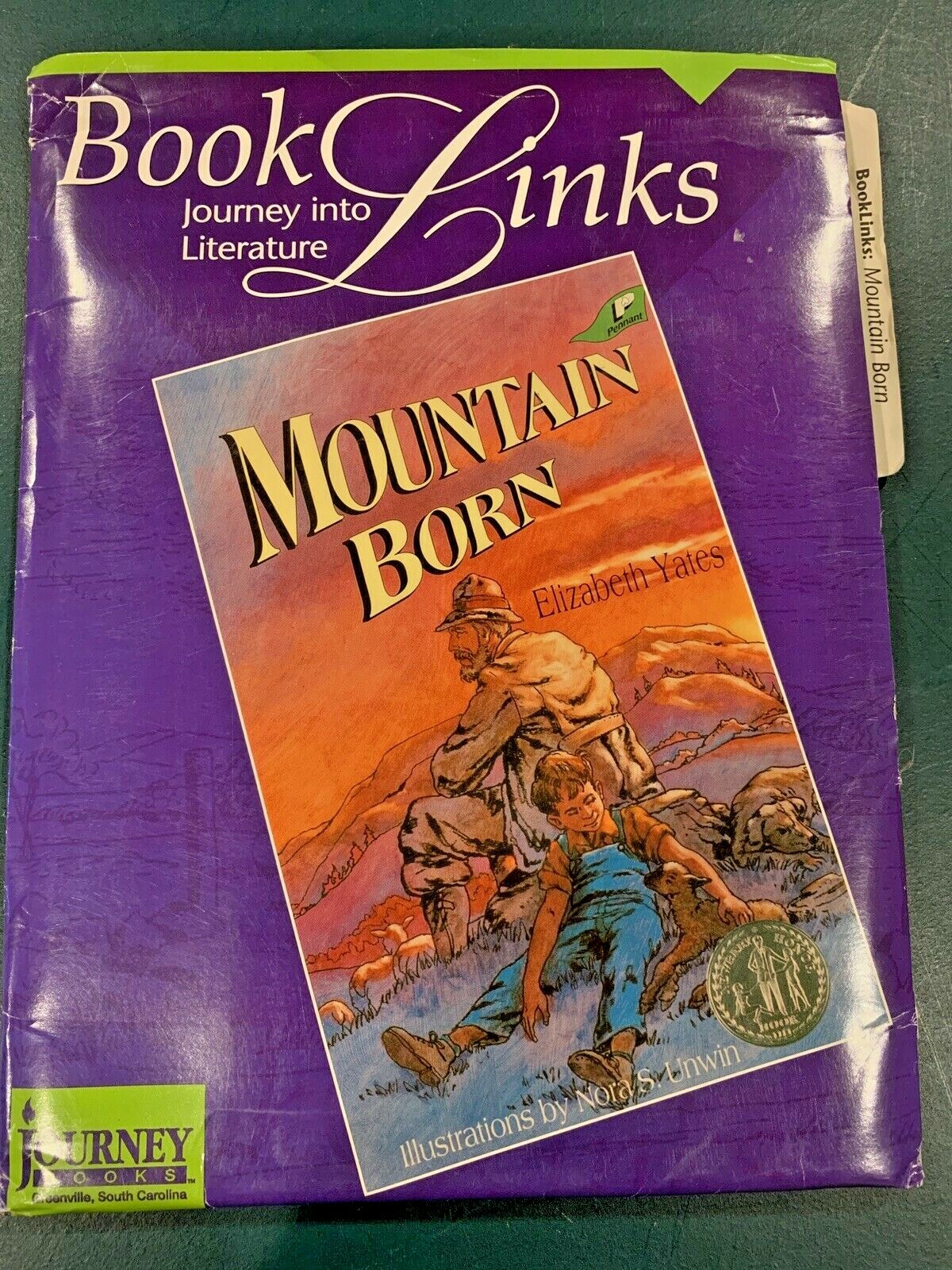 Mountain Born Booklink-Guide By BJU Press And Novel By Elizabeth Yates