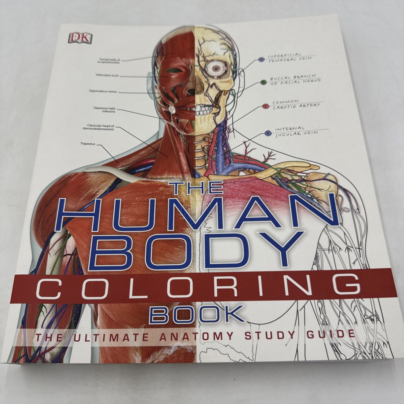 DK Human Anatomy Visual Guide & Human Body Coloring Book Study Bundle