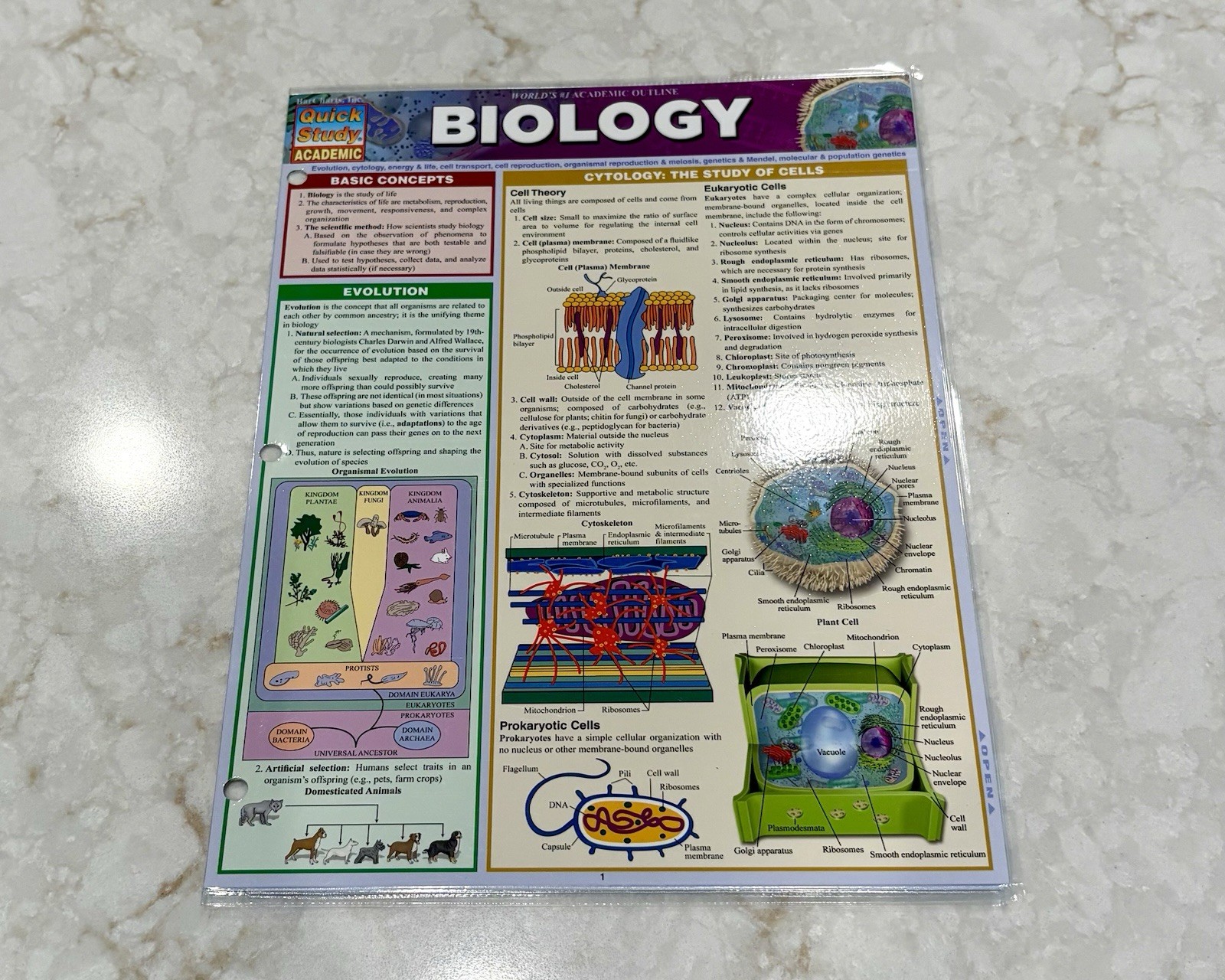 Quick Study Academic College Study Guides: Anatomy, Anatomy 2, Biology, Etc.