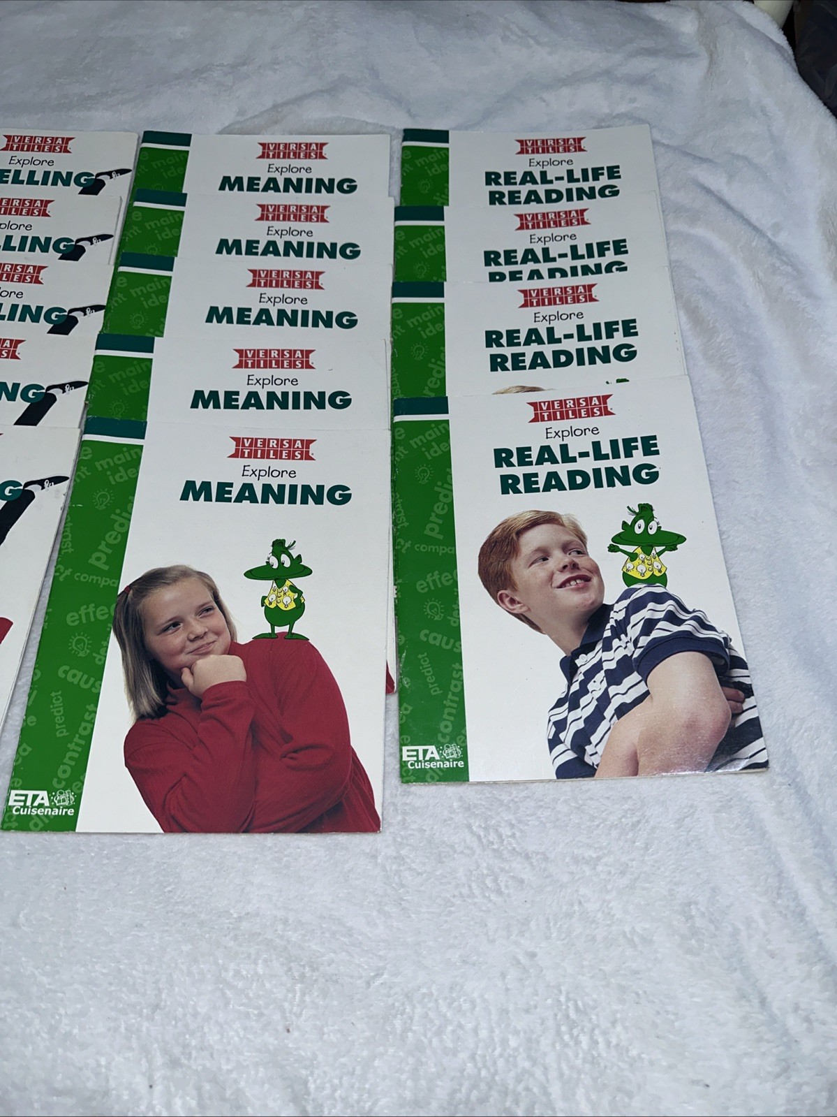 ETA VersaTiles Level 6 Reading Language Arts Lab 38 Books 26 Cases Teacher Guide
