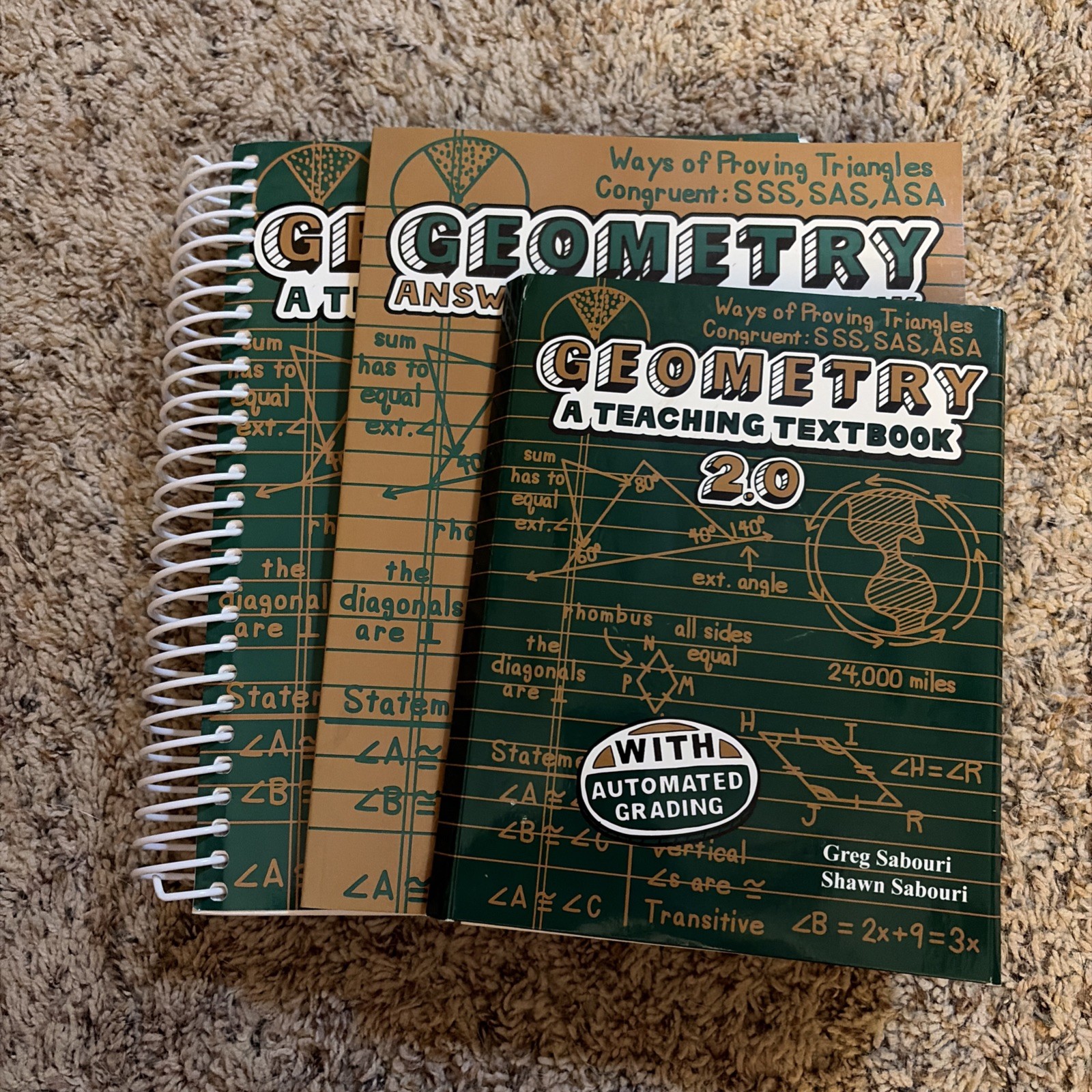 TEACHING TEXTBOOKS GEOMETRY 2.0 MATH GRADE 10 SET- SEE Photos for details
