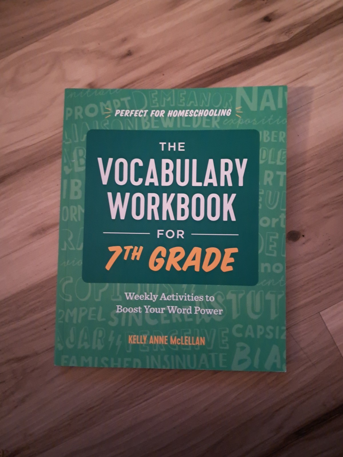 BIG Sale! The Vocabulary Workbook for 7th Grade-Weekly Activities