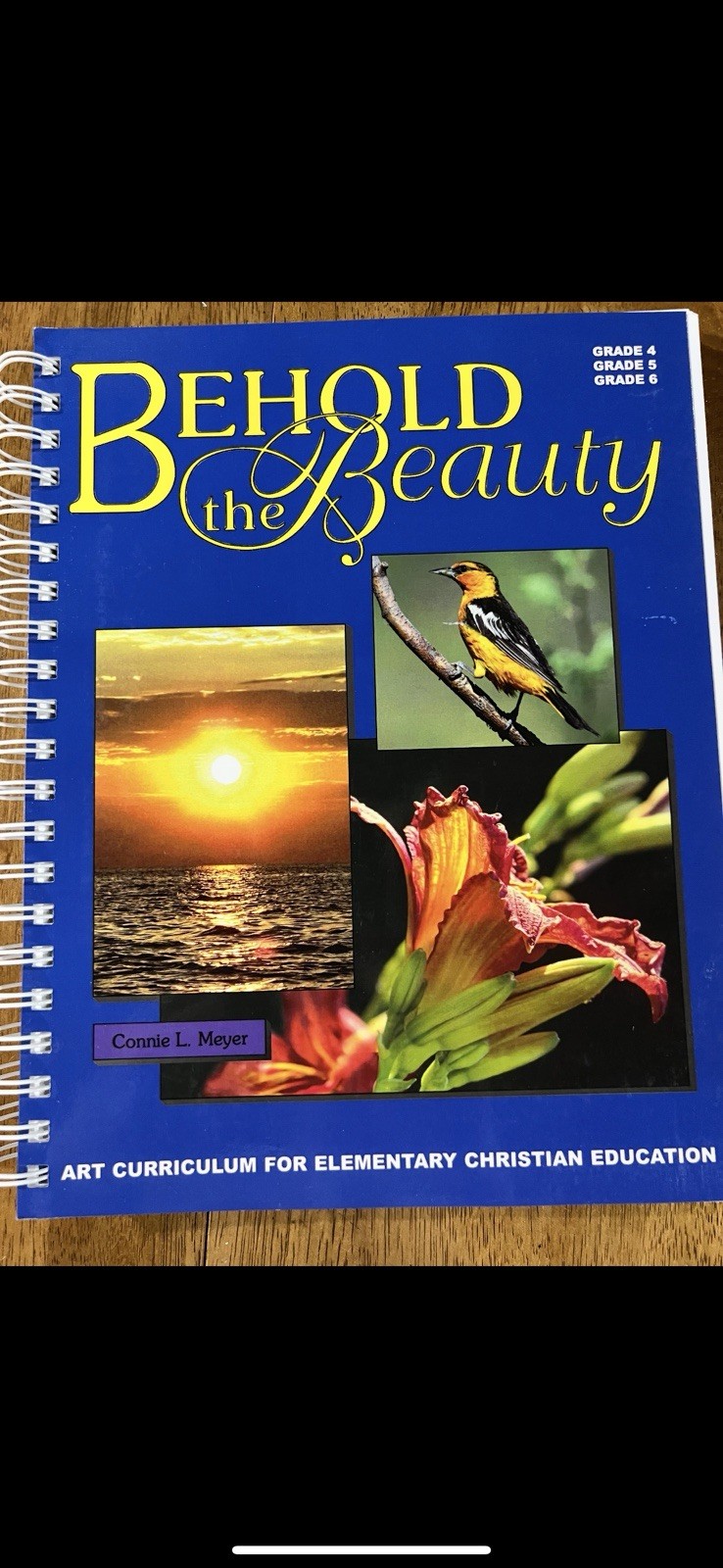 Art Curriculum for 4th-6th Grade, Paperback by Connie L. Meyer