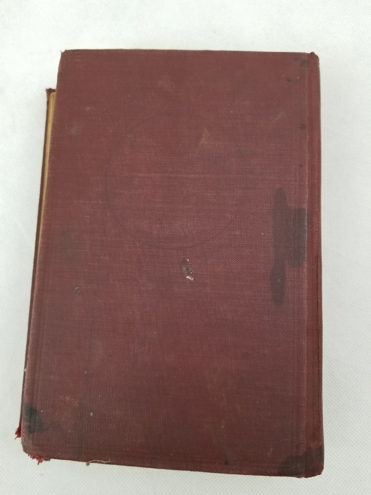Webster’s Elementary- School Dictionary Abridged 900 Illustrations 1925 USA