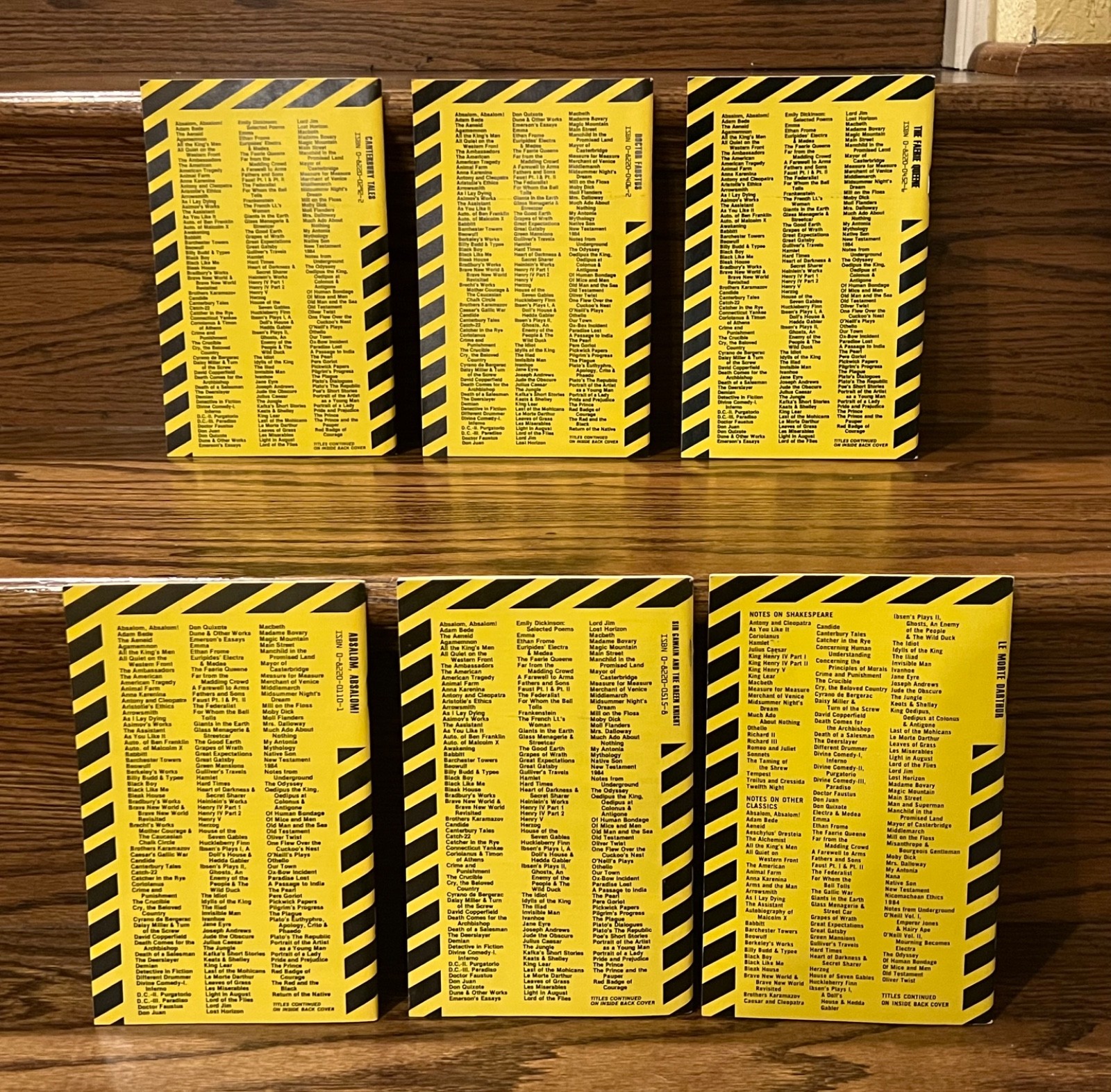 6 Cliff Notes summaries, and commentaries on great works of literature