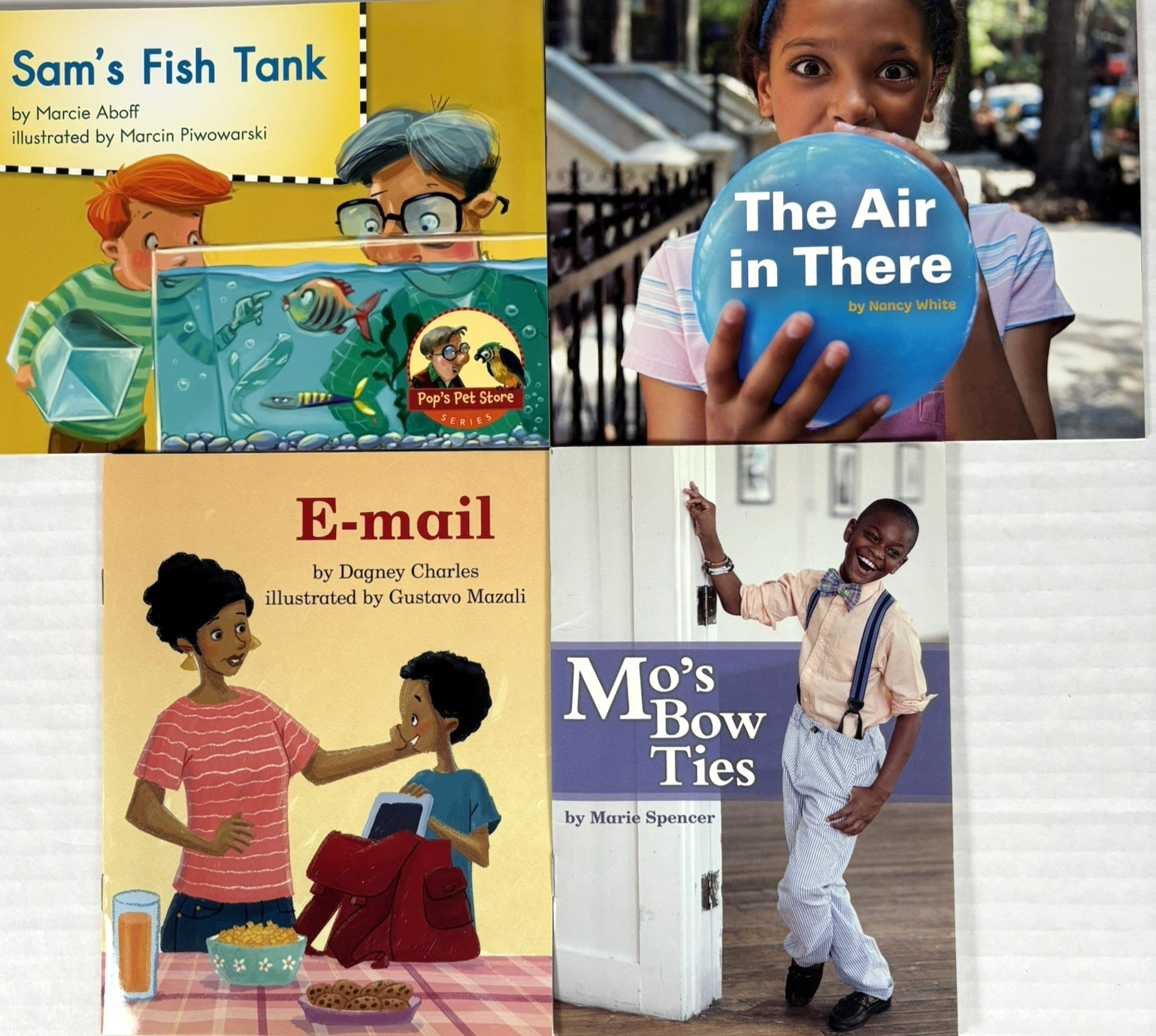 1st Grade Readers Multi-Level Reading Library #4 – 22 Books Levels E-M