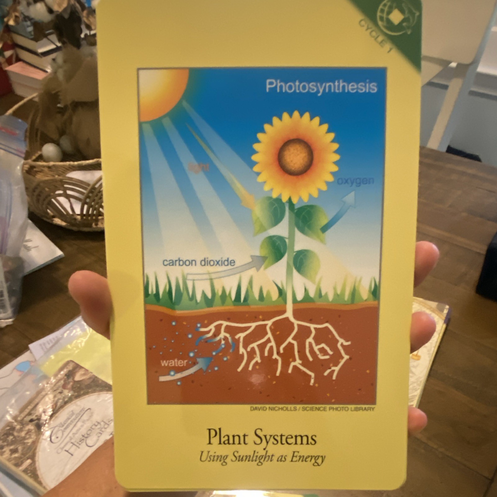 Classical Conversations Acts & Facts Science Cards Cycle 1 Living on Planet