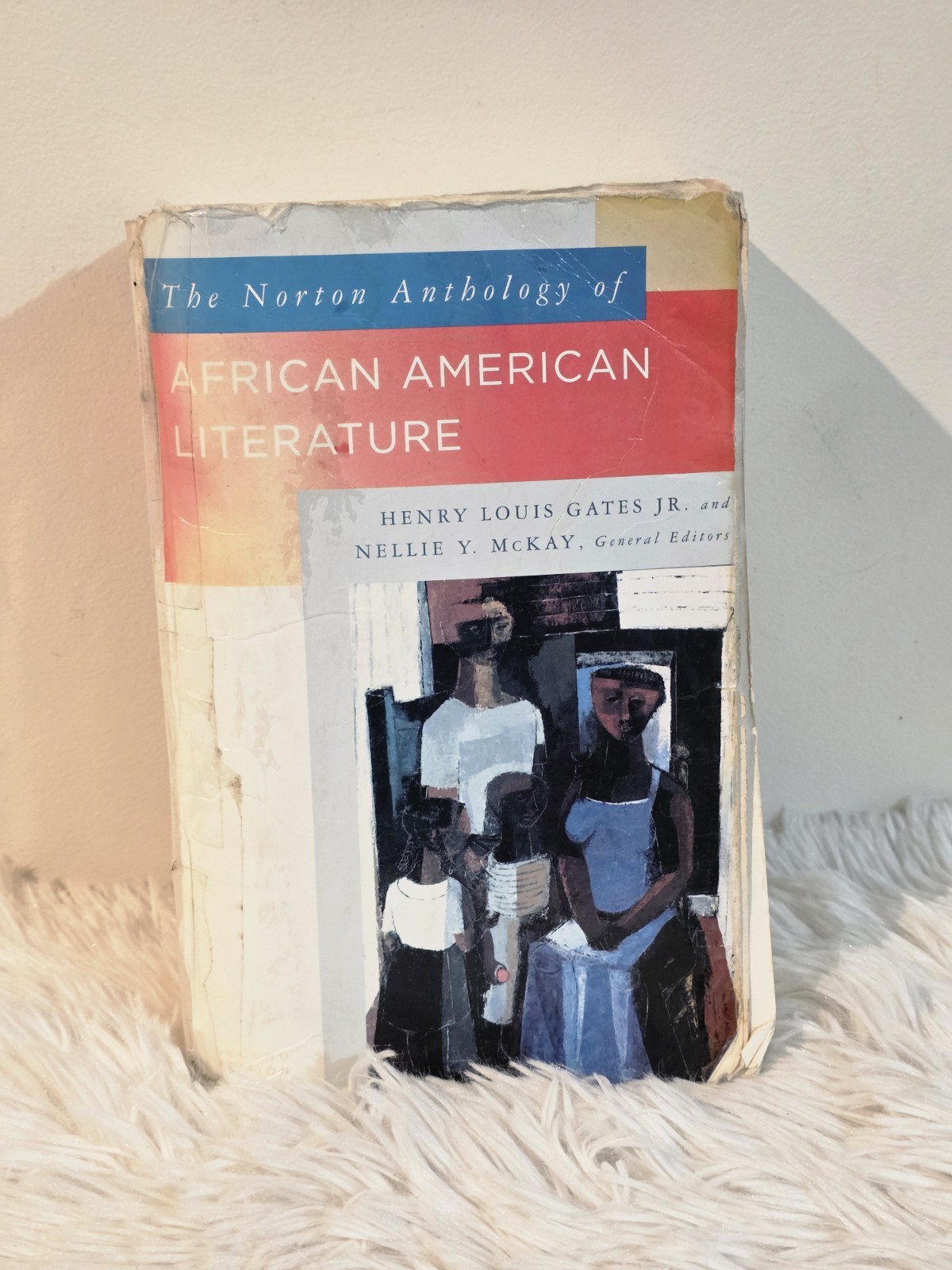 Norton Anthology of African American Literature by Henry Louis Gates
